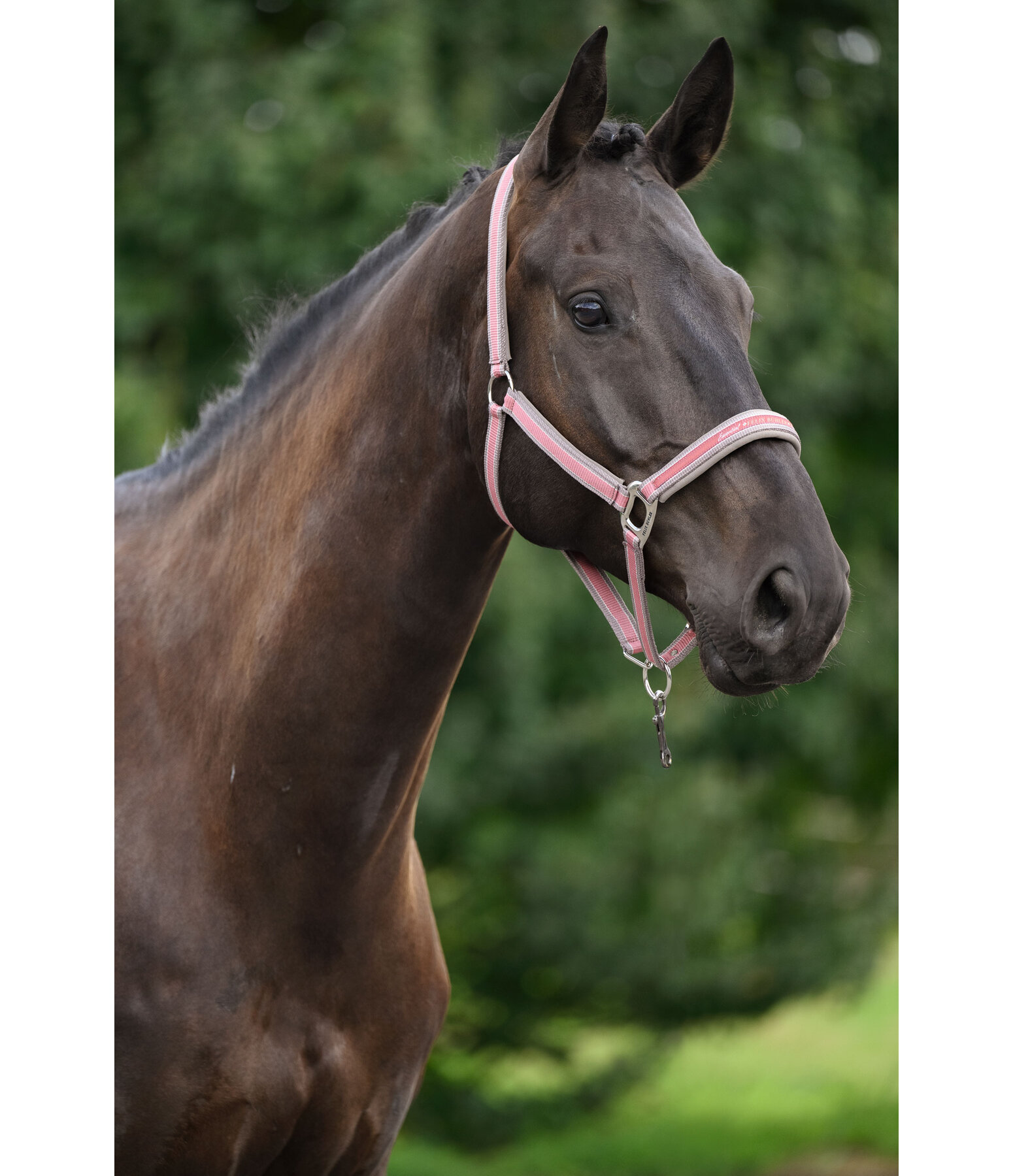 halster Essential II