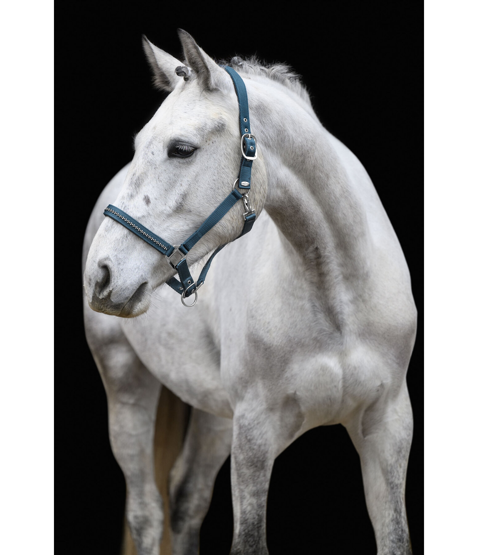 halster Twinkle