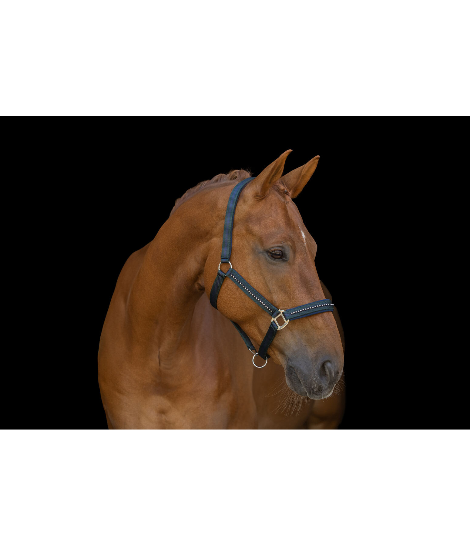 halster Twotone & Crystal