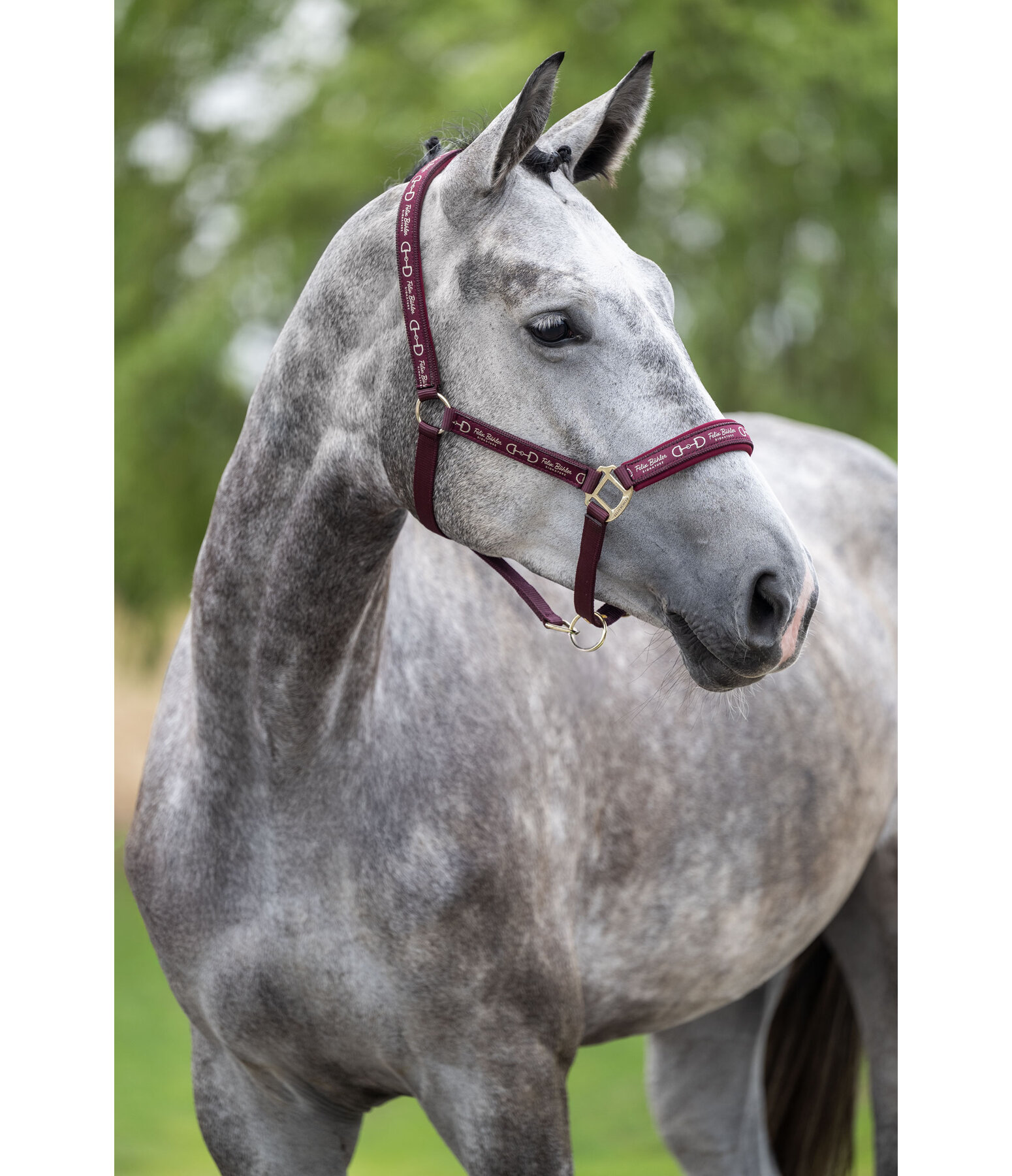 halster Signature III