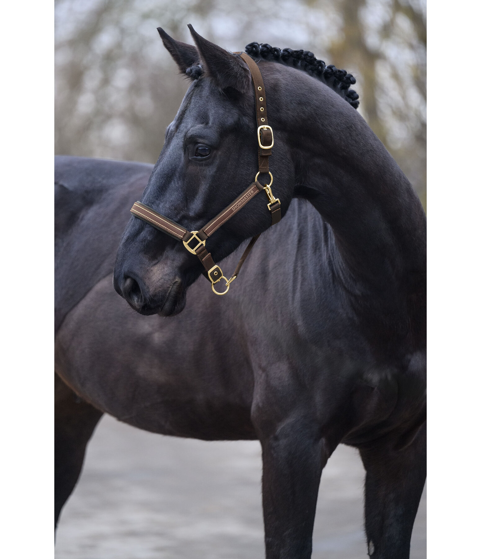 halster Glimmering