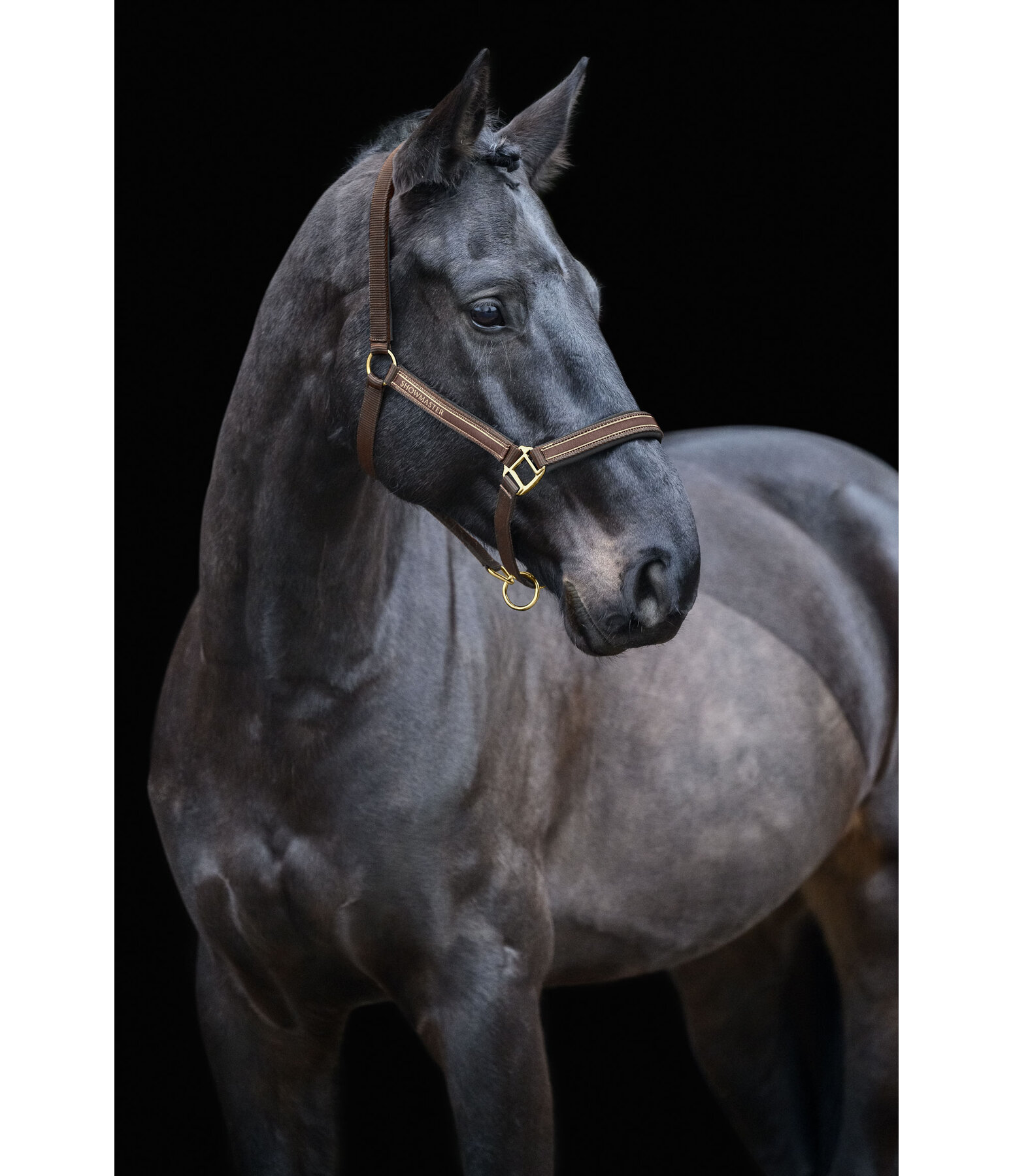 halster Glimmering