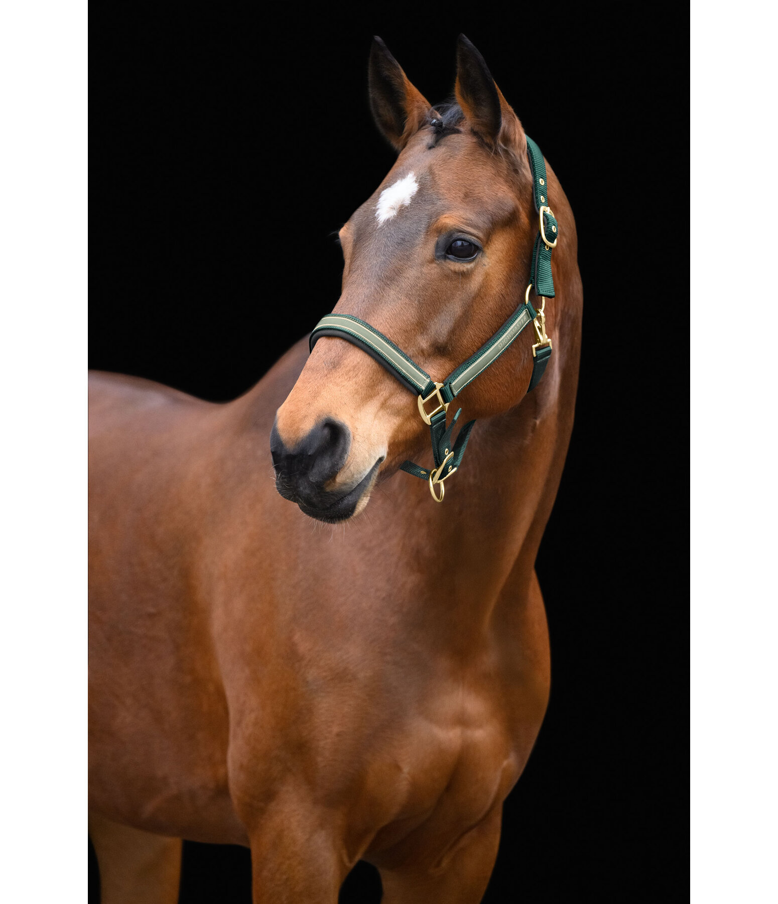 halster Glimmering