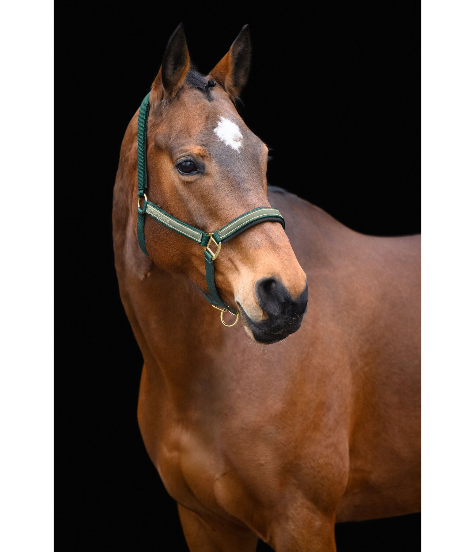 halster Glimmering