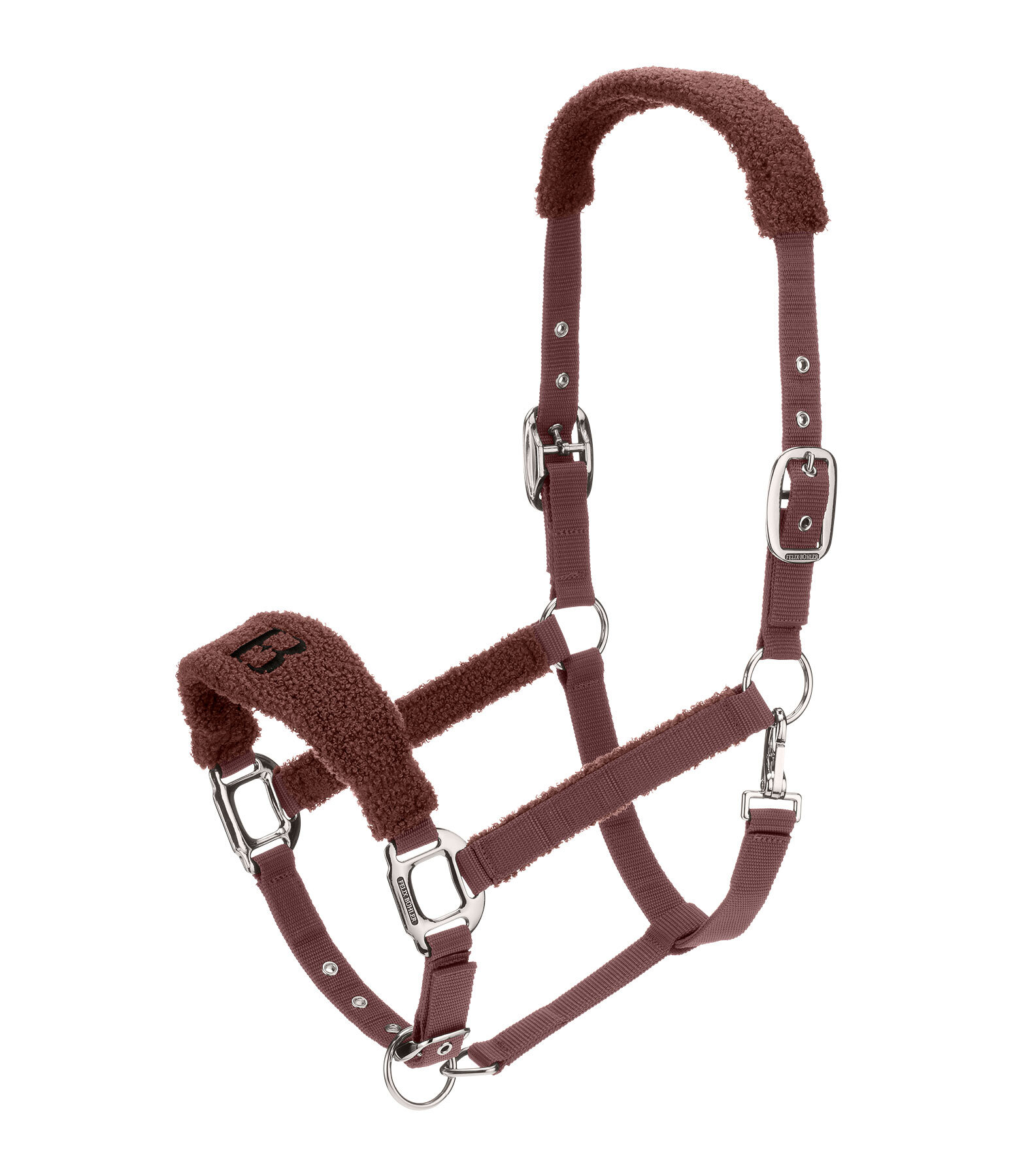 teddy Halster