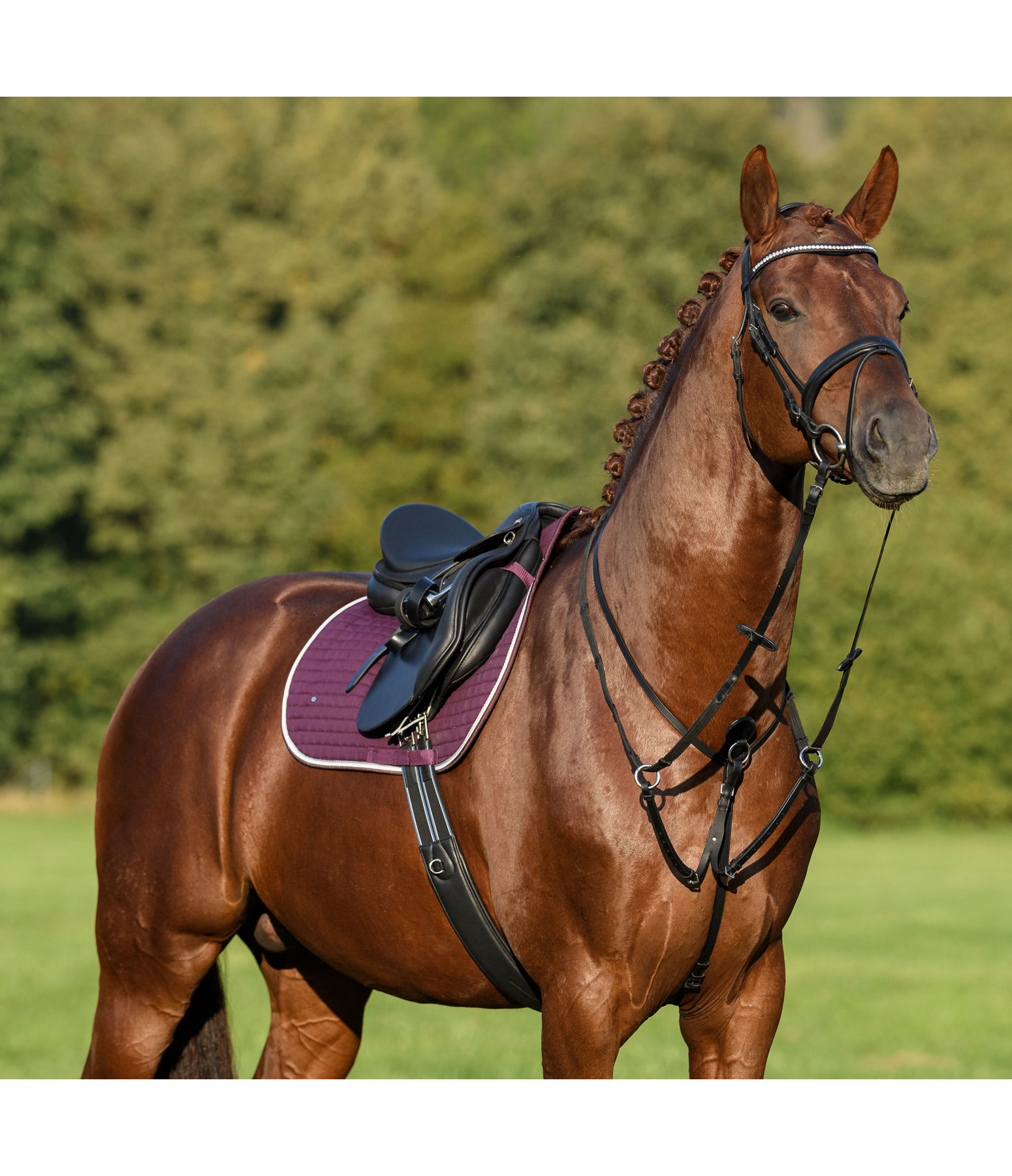 Van hen Nominaal Noord West geoliede lederen martingaal met Quick Fit II - Kramer Paardensport