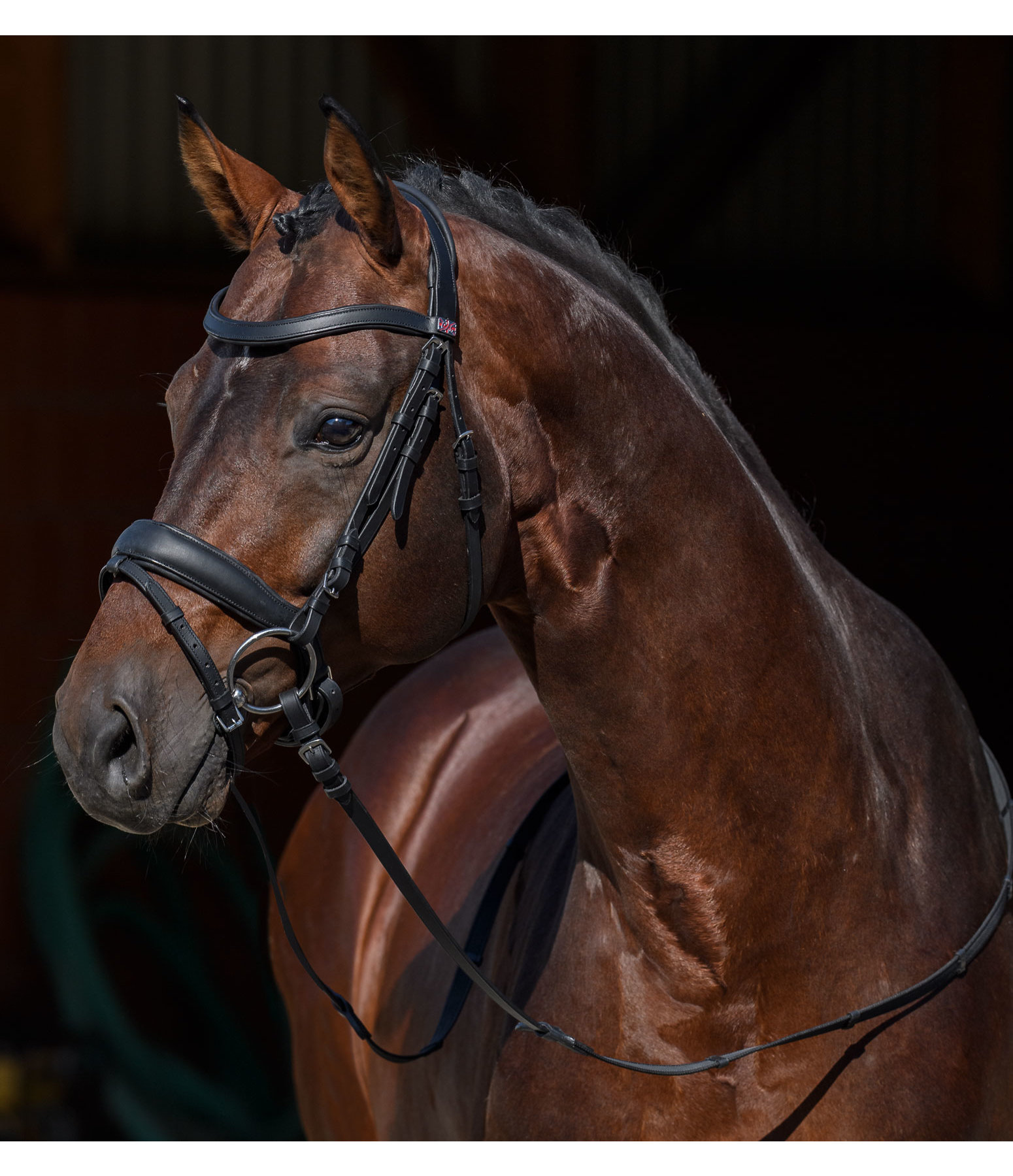 Mix & Match PRO geolied Zweeds lederen halster met afneembare sperriemen