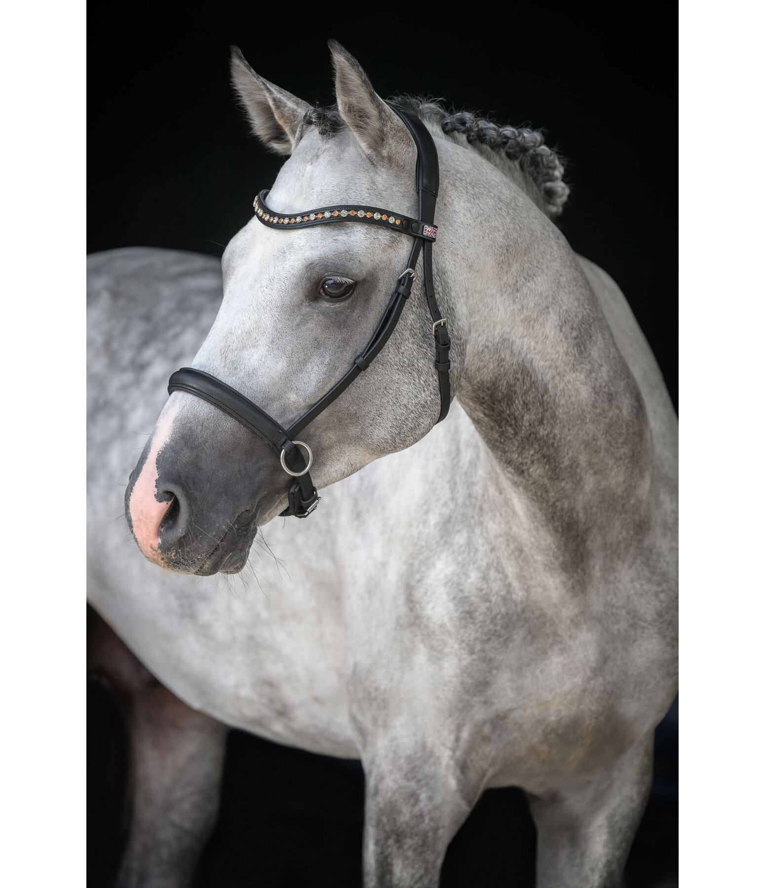 Mix & Match bitloos geolied lederen neusriem