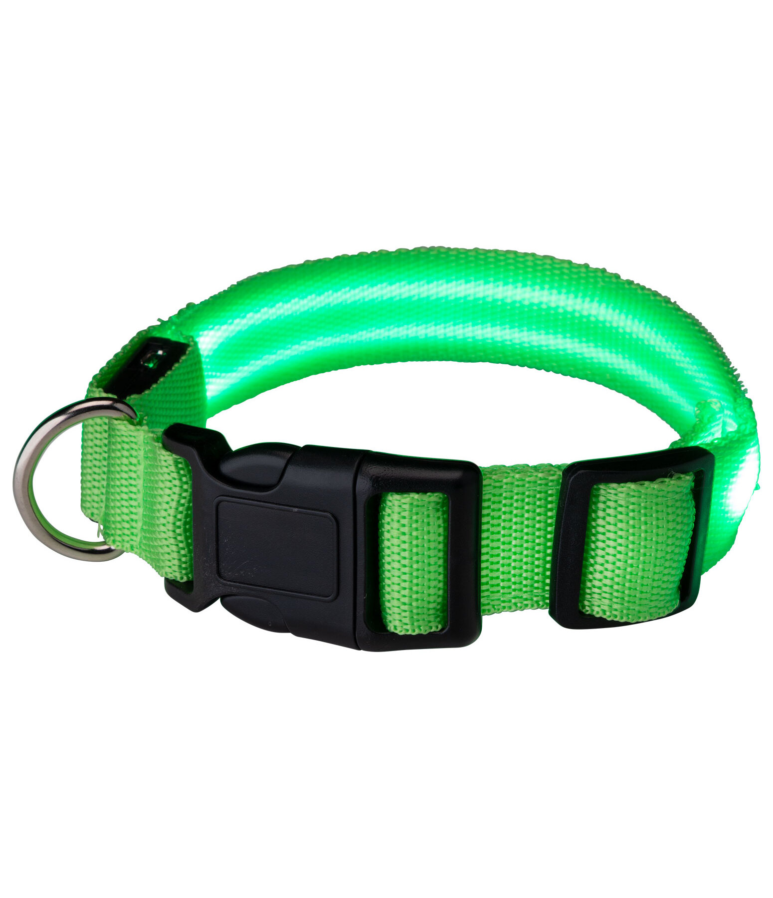 LED hondenhalsband Loom