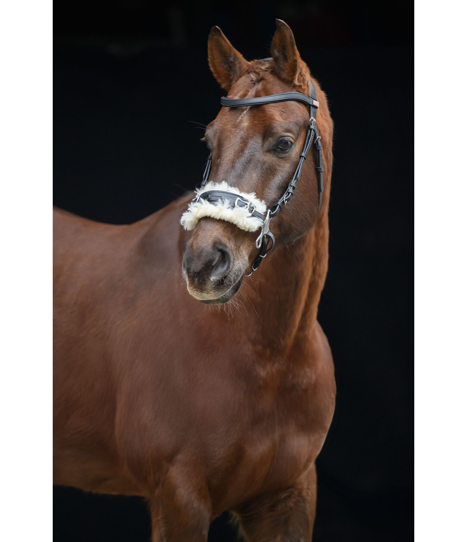 hackamore imitatiebont