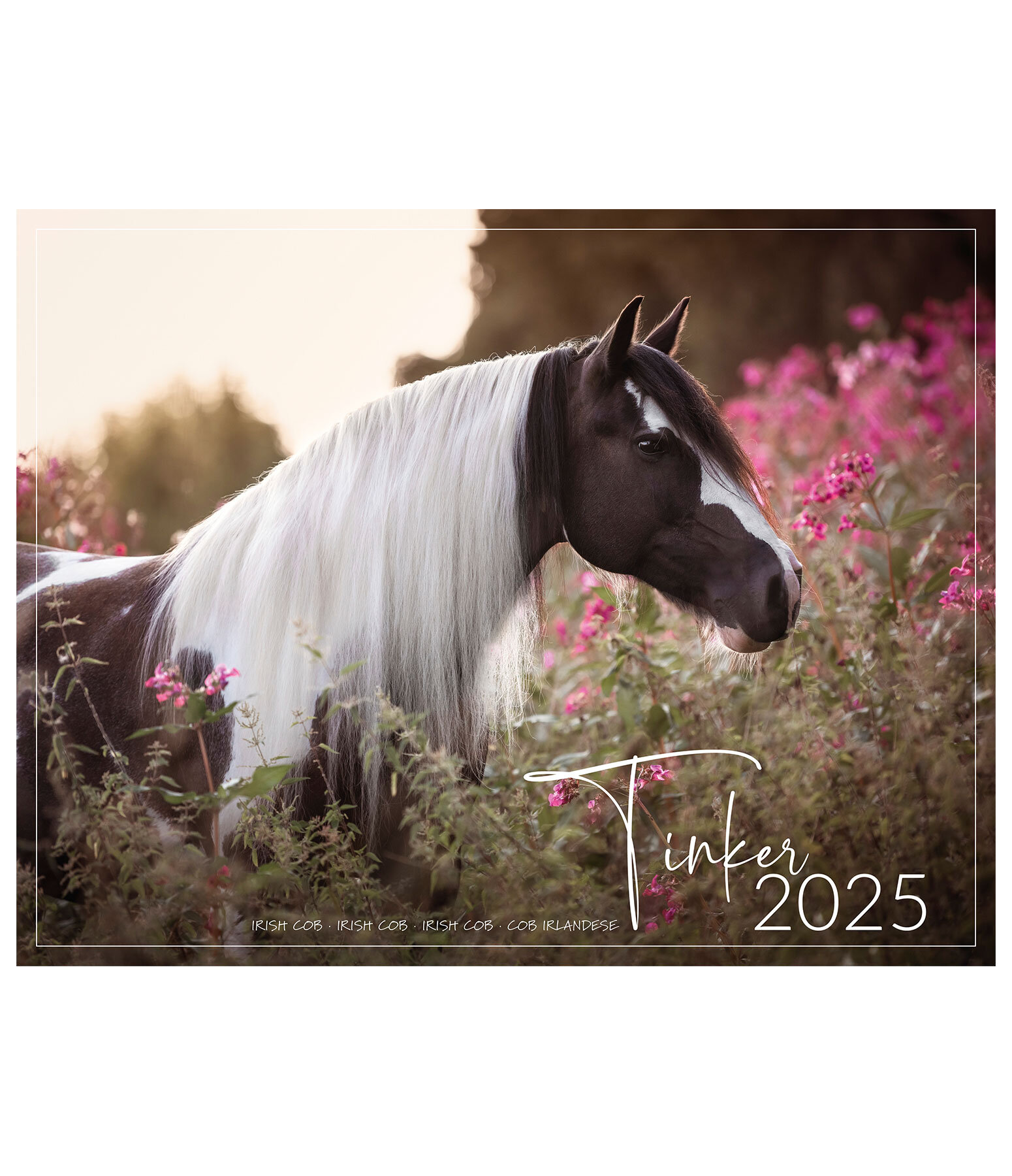 Tinker Kalender 2024