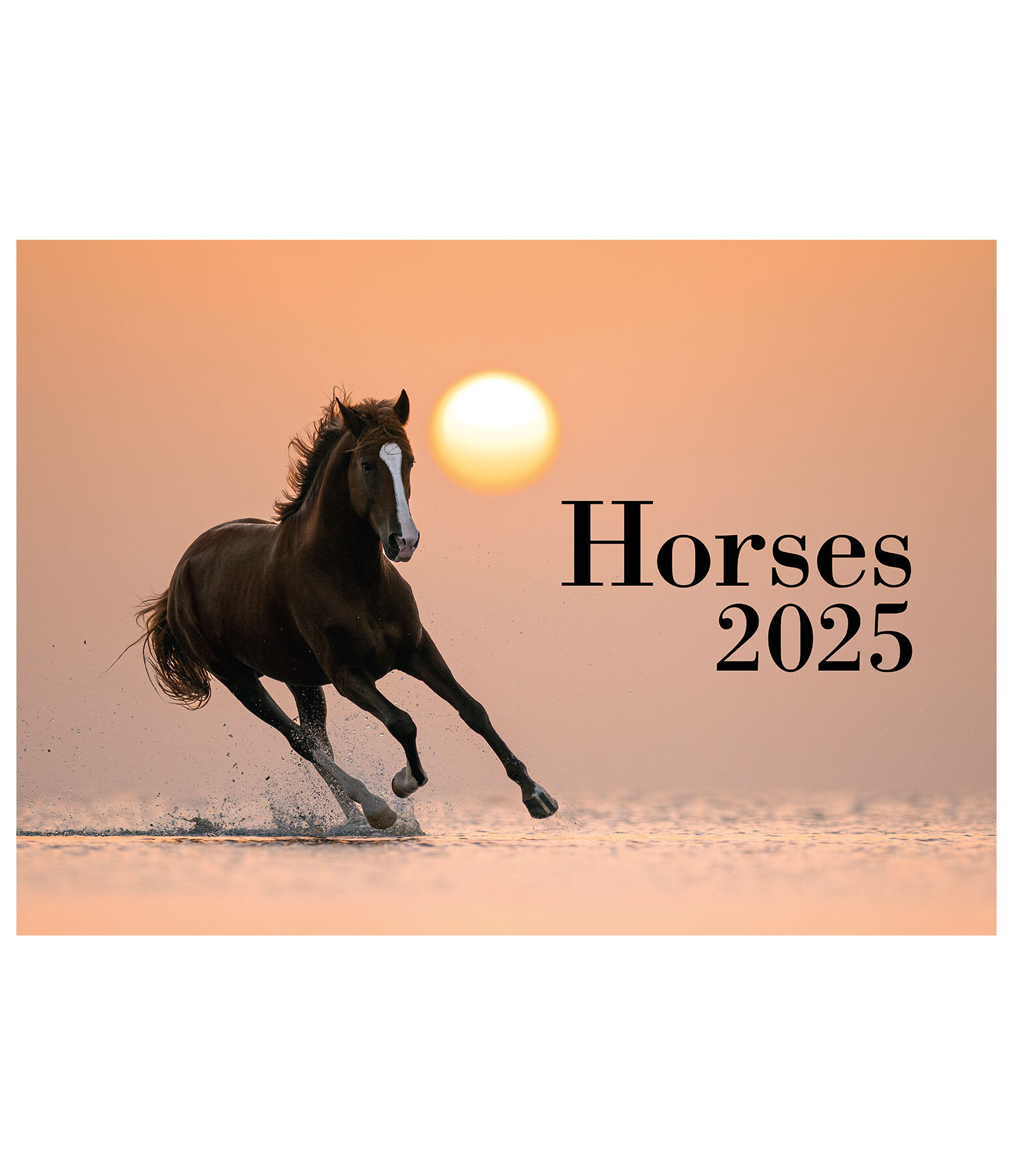 Horses Kalender 2024