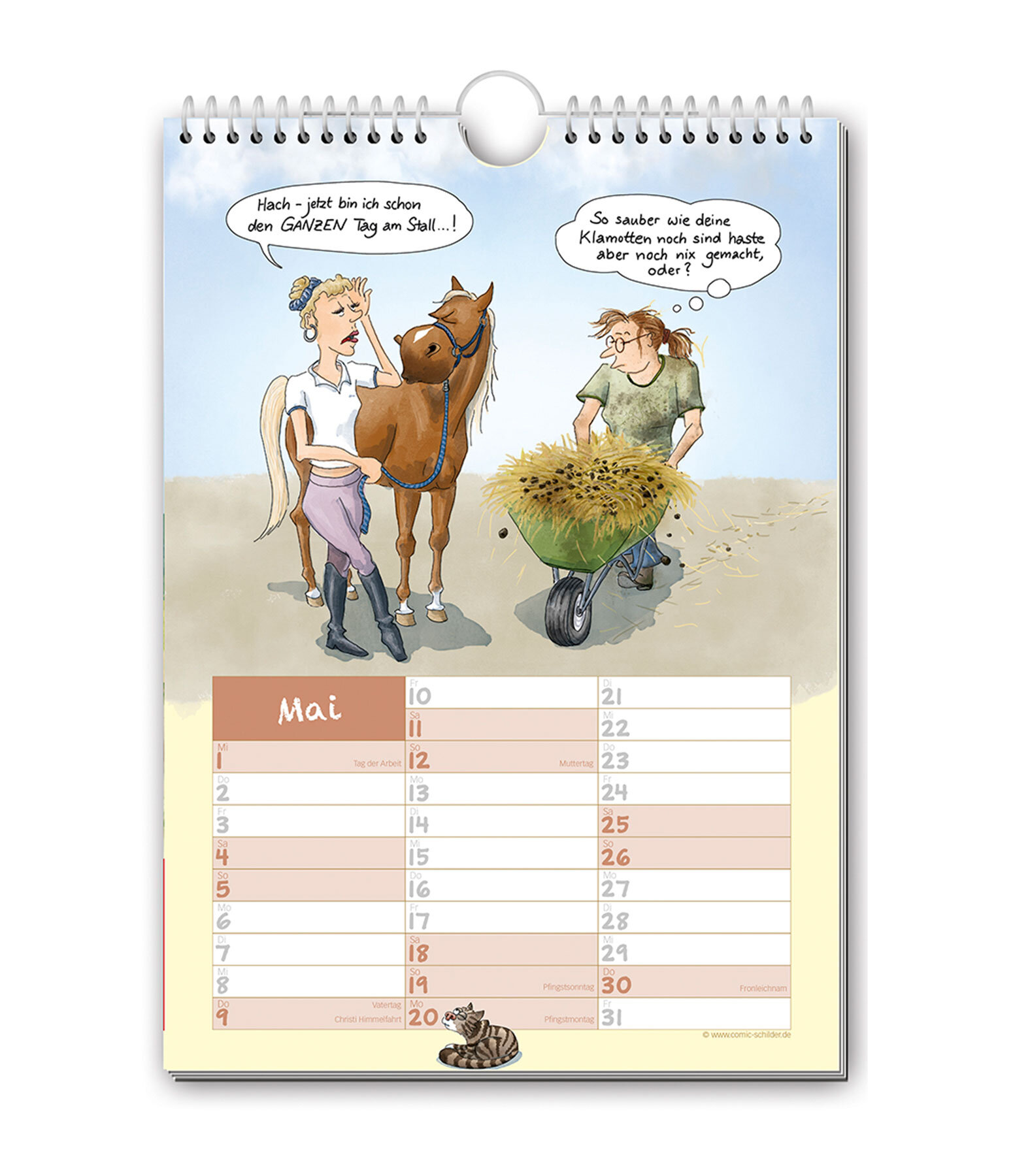 Paardenverhalen: comic kalender 2022