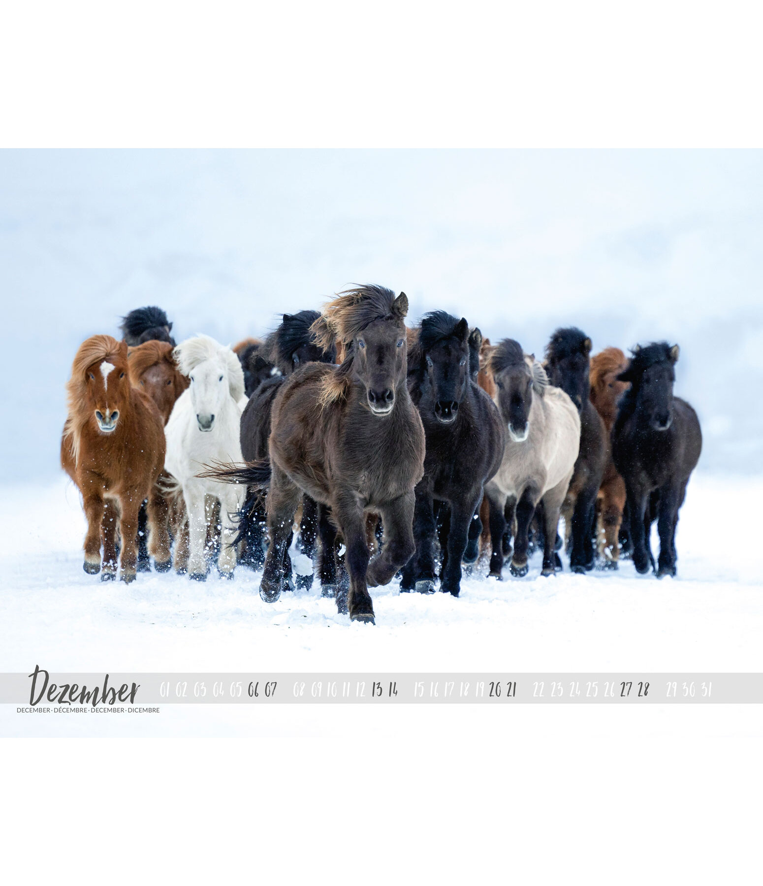 IJslander kalender 2024