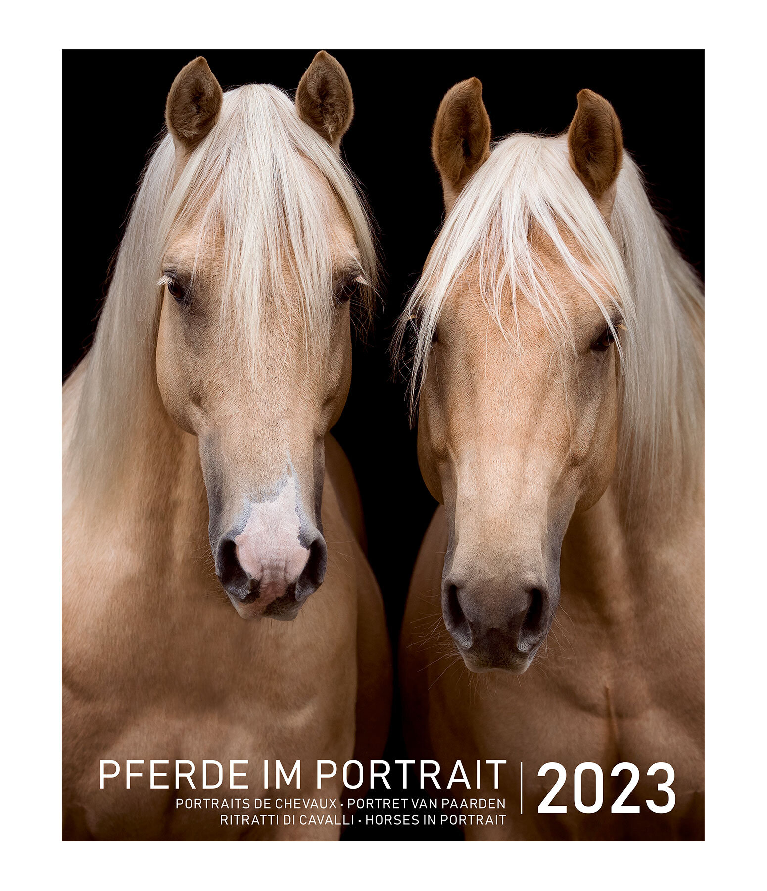 Paarden Portrait Kalender 2023