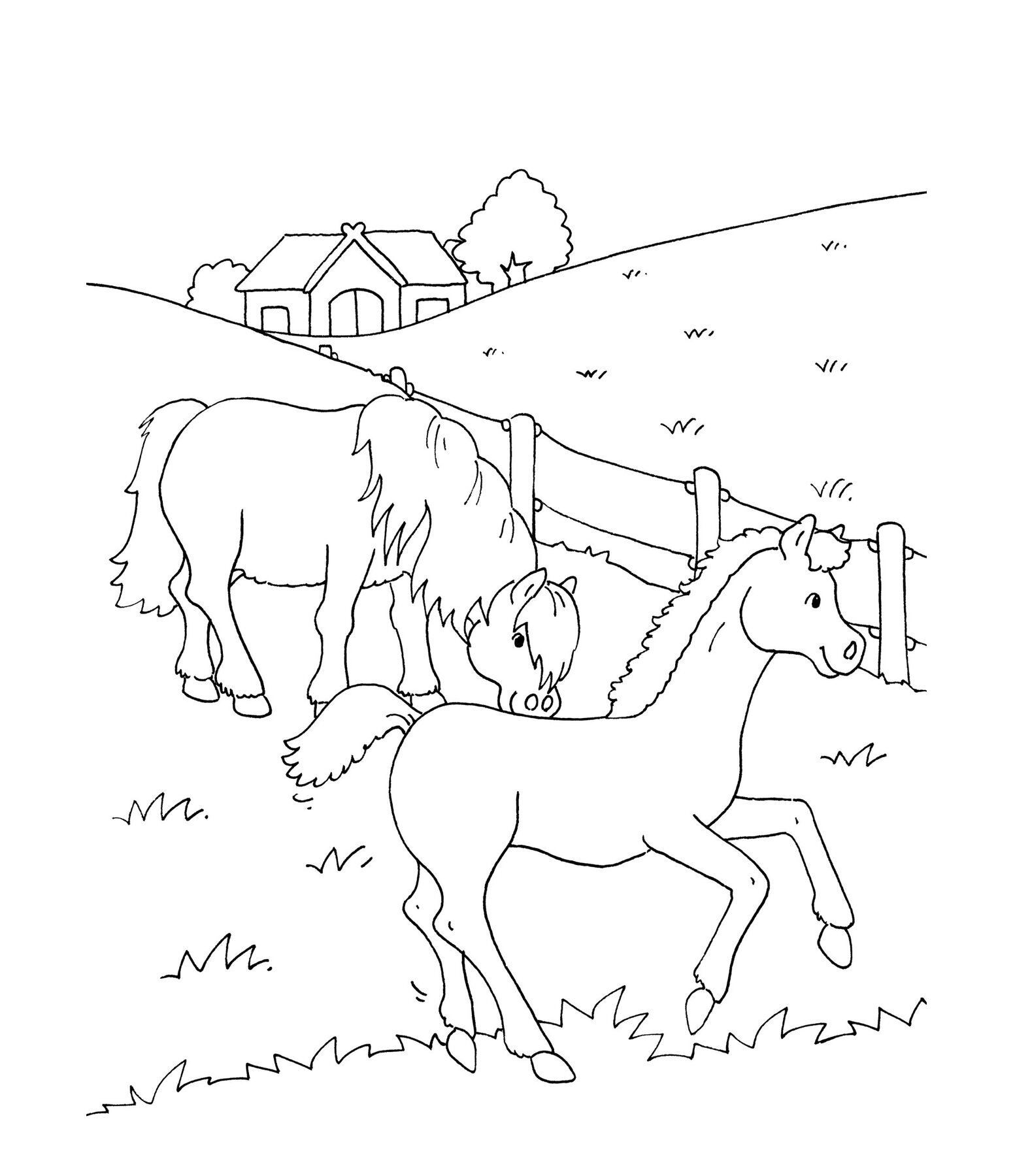 Mijn dikke kleurboek - Paarden
