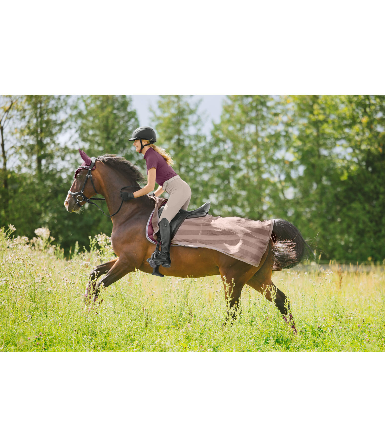 vliegen uitrijdeken Economy Light