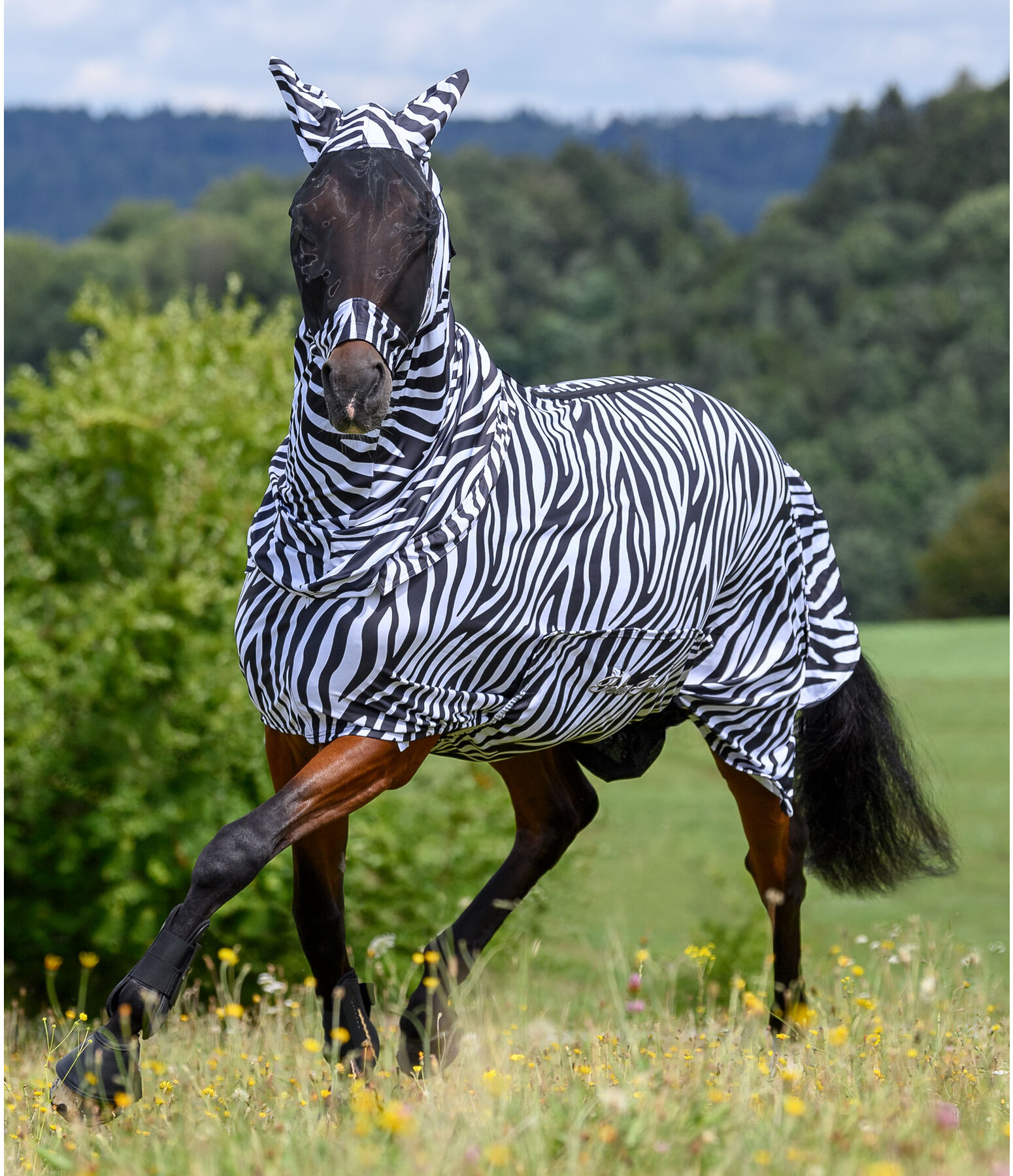 Zebra eczeemmasker Gibson