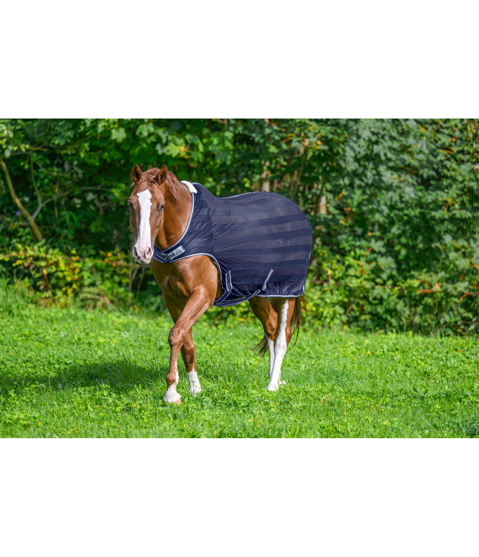 vliegenbeschermende Walker Economy Light