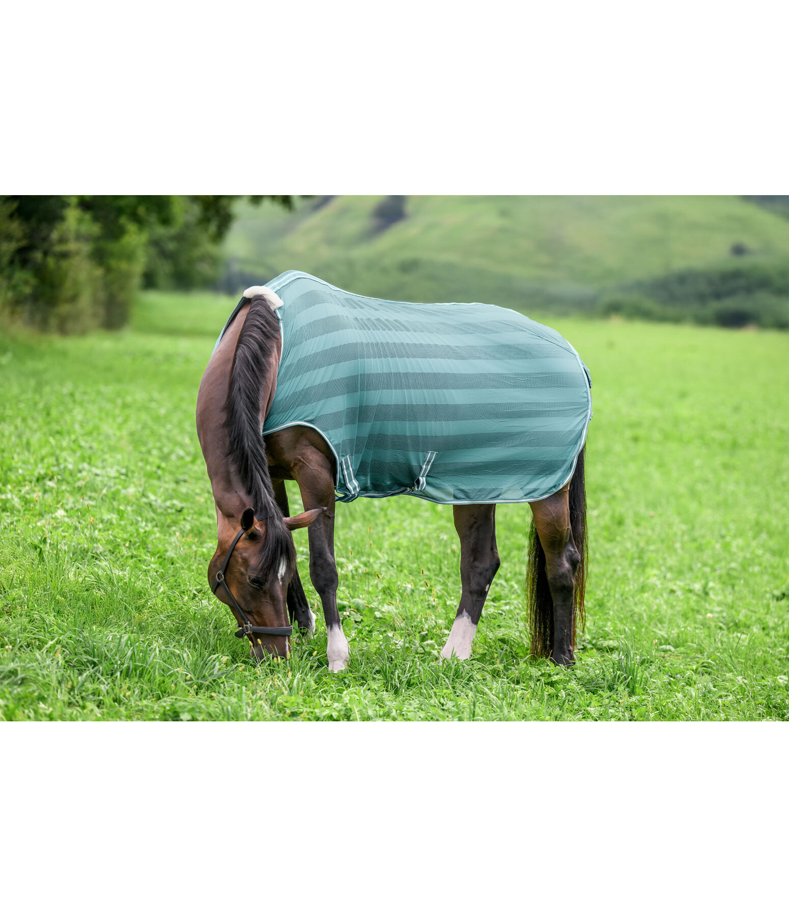 vliegenbeschermende Walker Economy Light