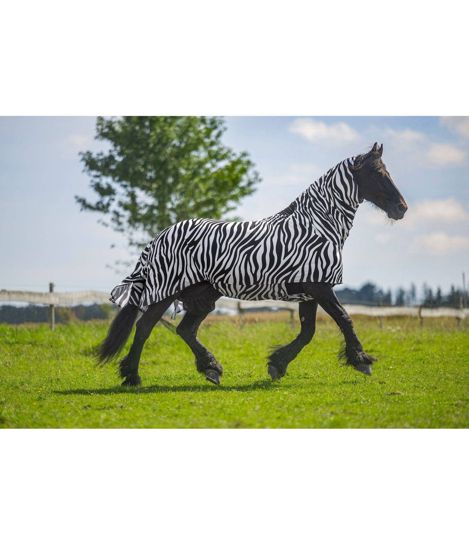 Zebra eczeemdeken Gibson II