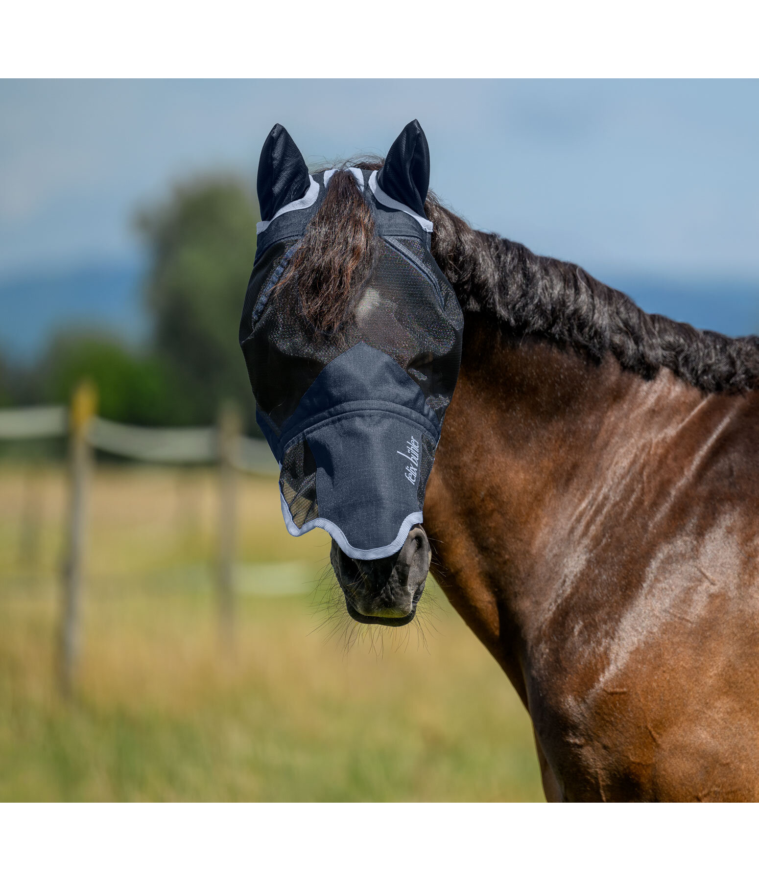 2 in 1 vliegenmasker Sun Shield