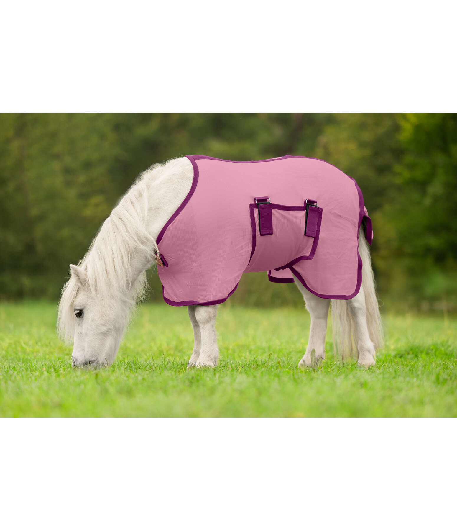 veulen- en minishetland vliegendeken Kubi Fly