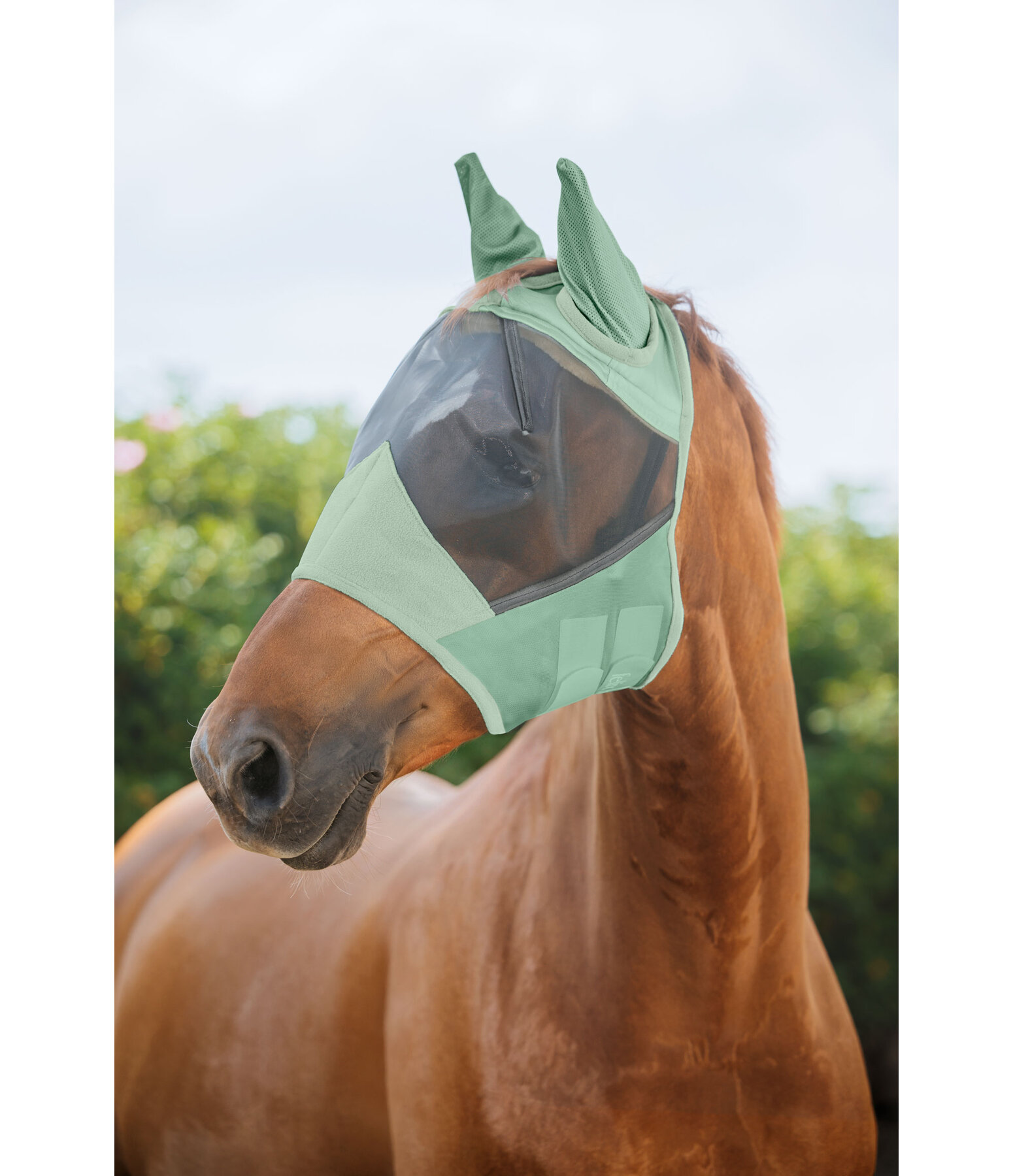 vliegenmasker Basic