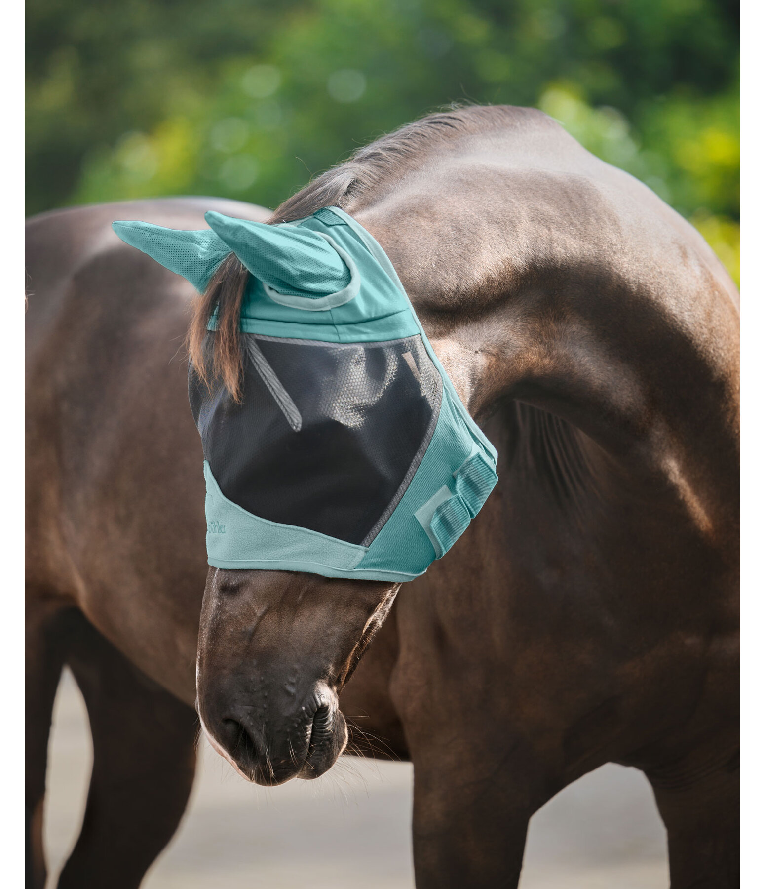 vliegenmasker Basic