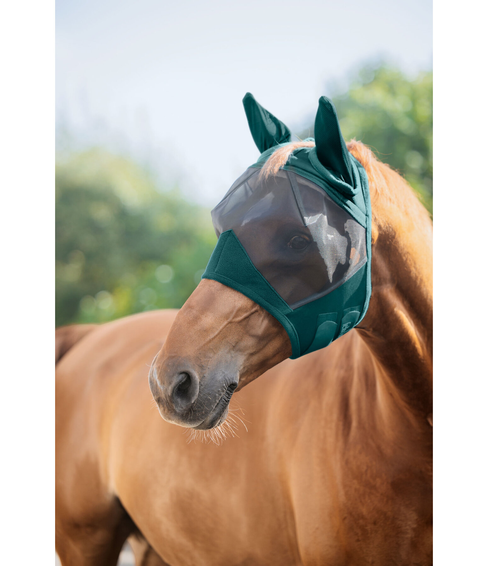 vliegenmasker Basic