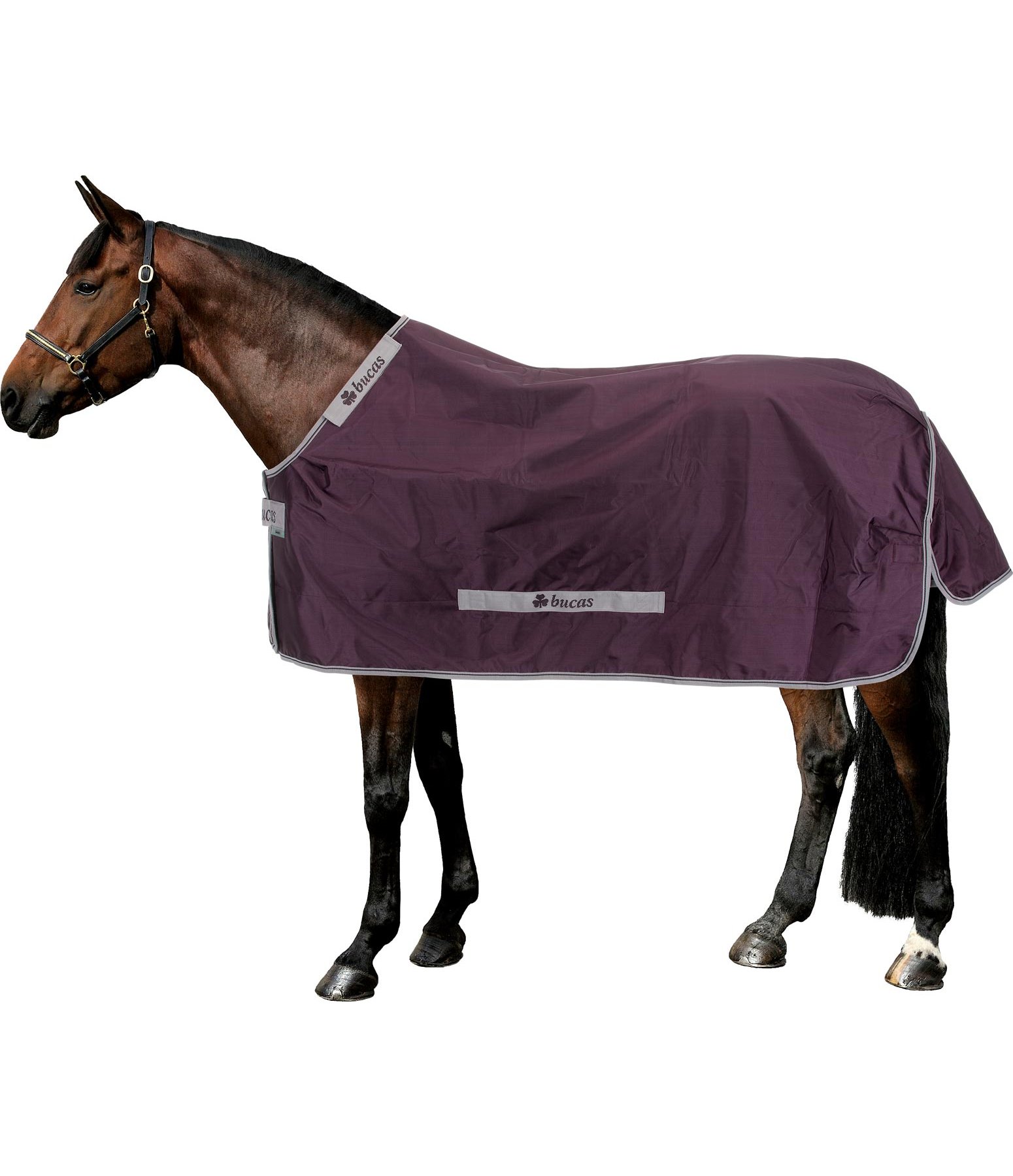 regendeken Smartex Rain, 0 g Bucas paardendekens Kramer Paardensport