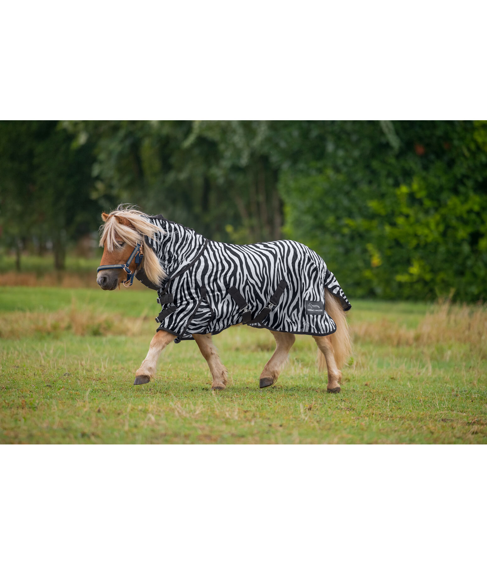 zebra vliegendeken Combo