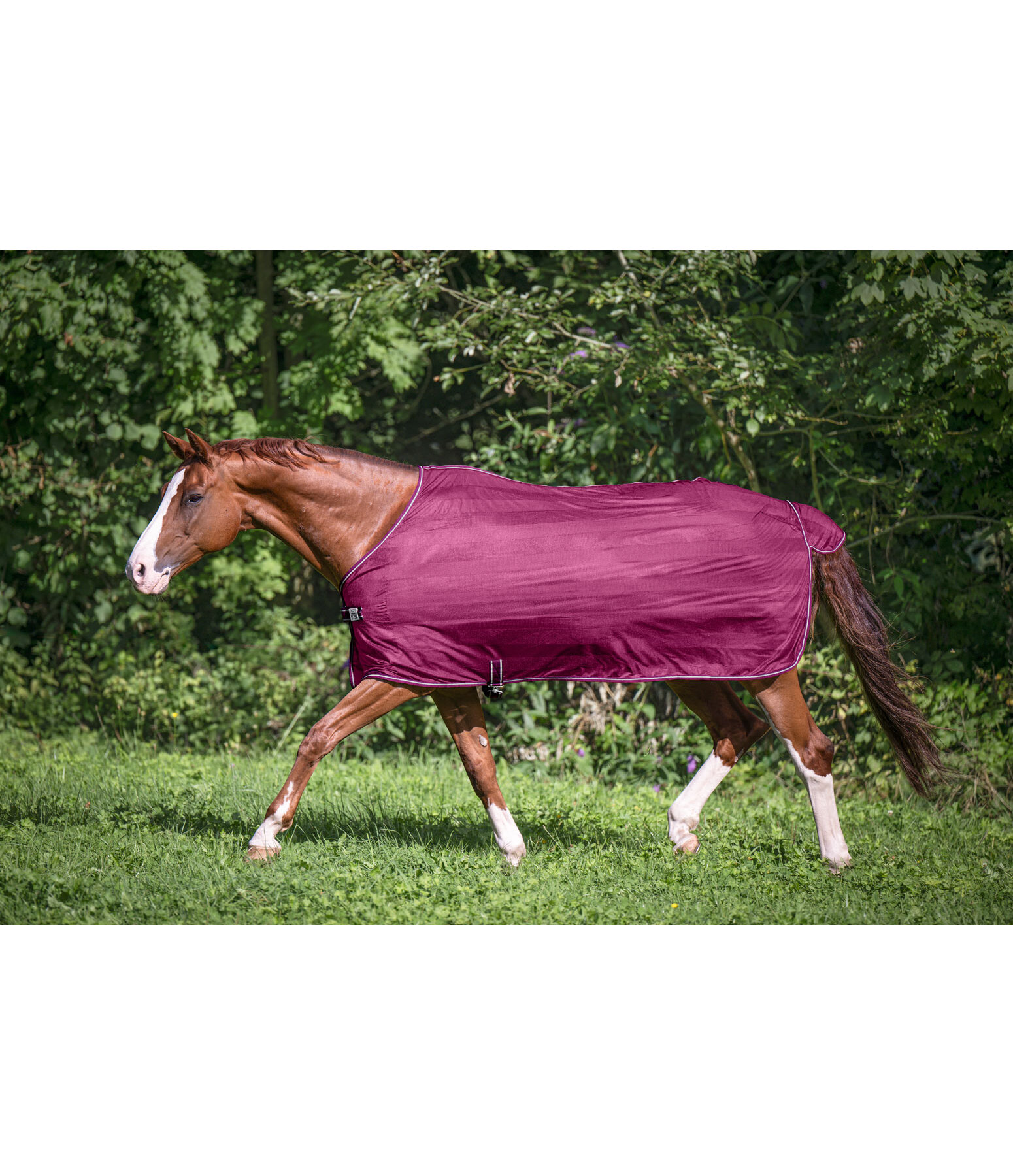 vliegendeken Economy Light