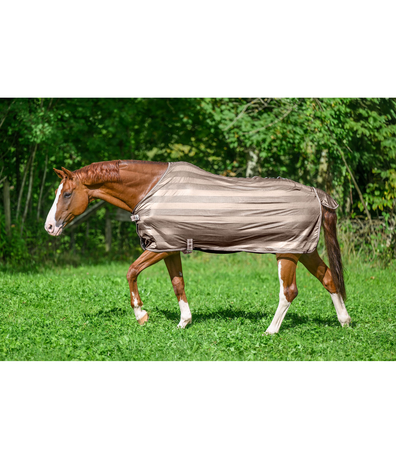 vliegendeken Economy Light