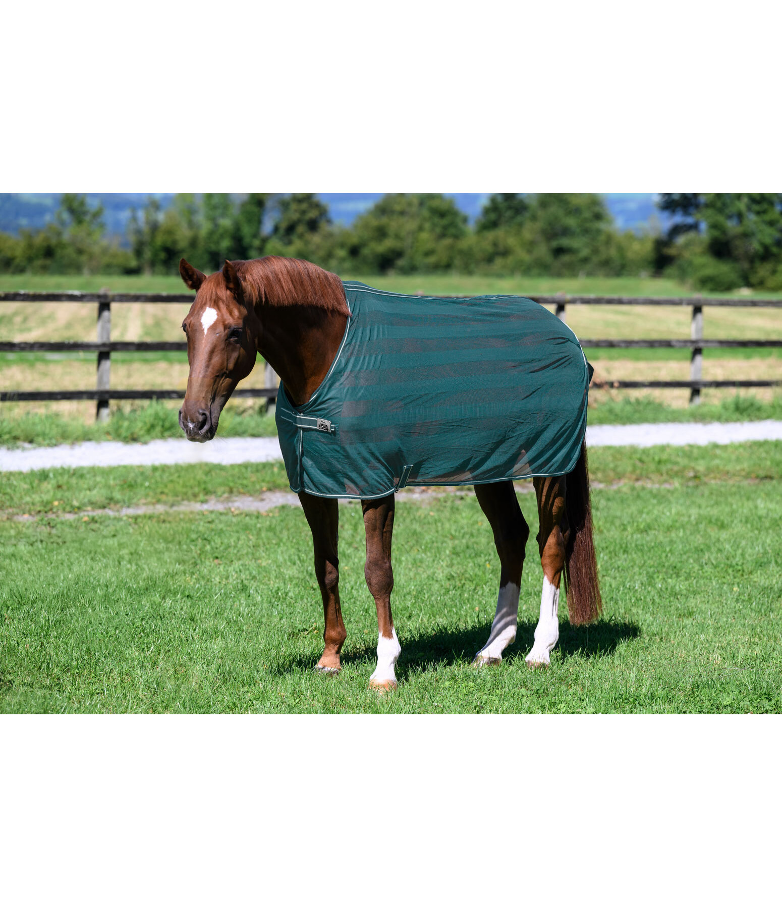 vliegendeken Economy Light