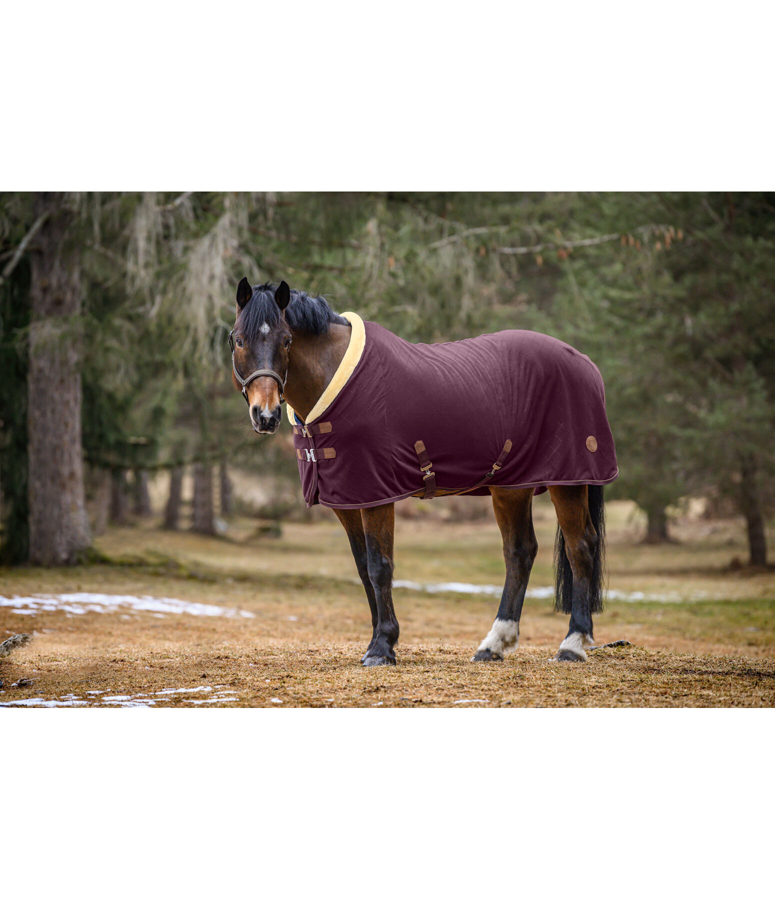 fleece zweetdeken Timeless Elegance met teddyfleece kraag