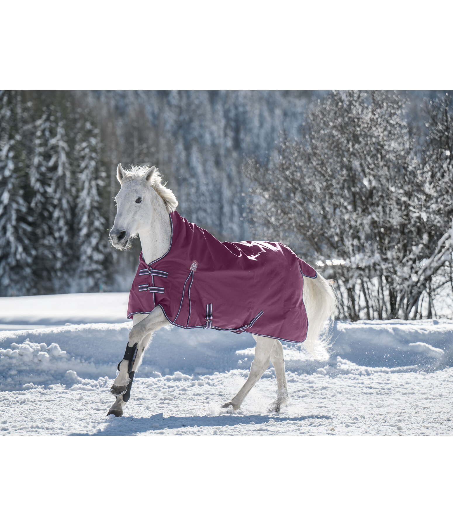 Highneck regendeken Kalina II, 100 g