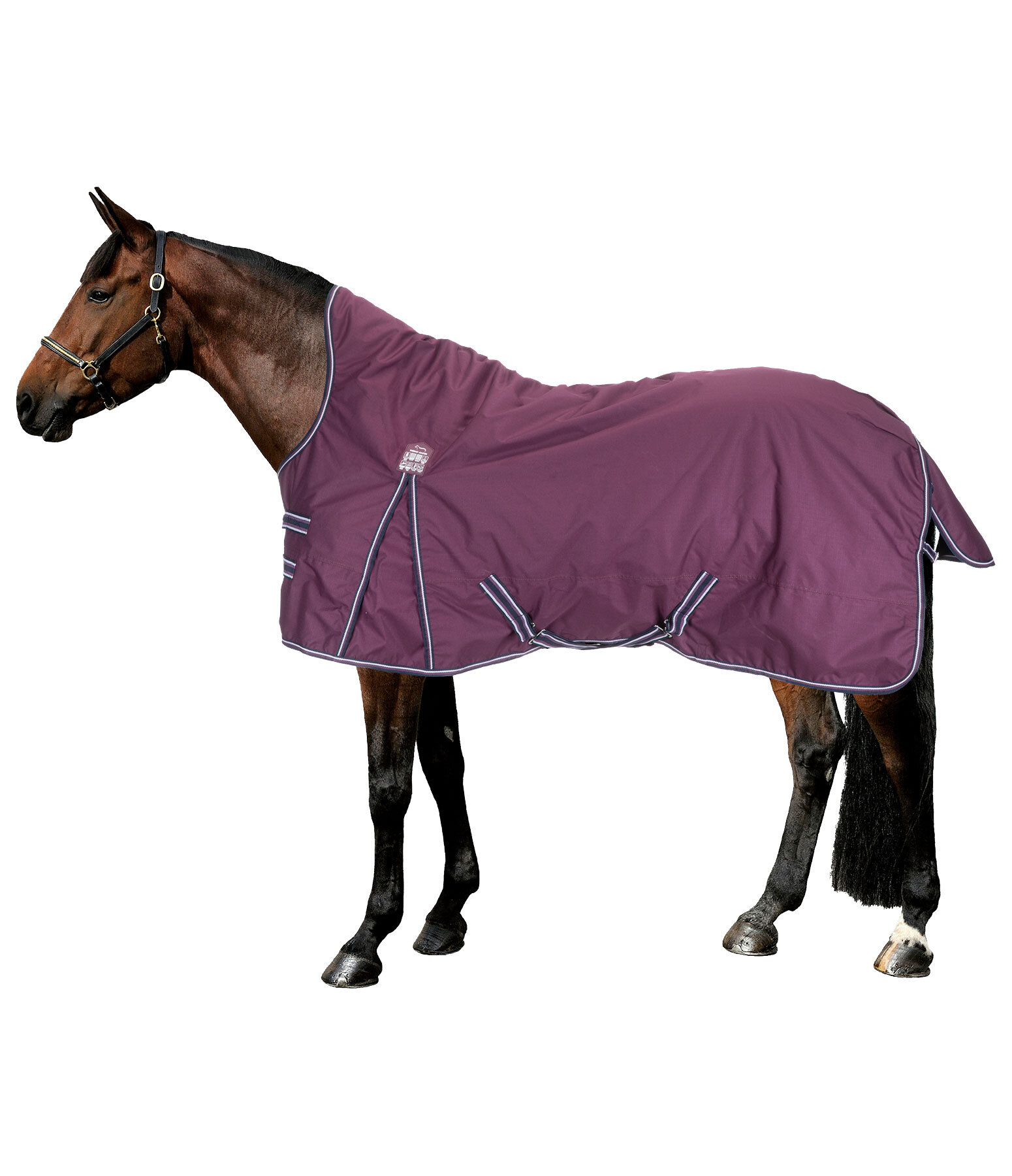 Highneck regendeken Kalina II, 300 g