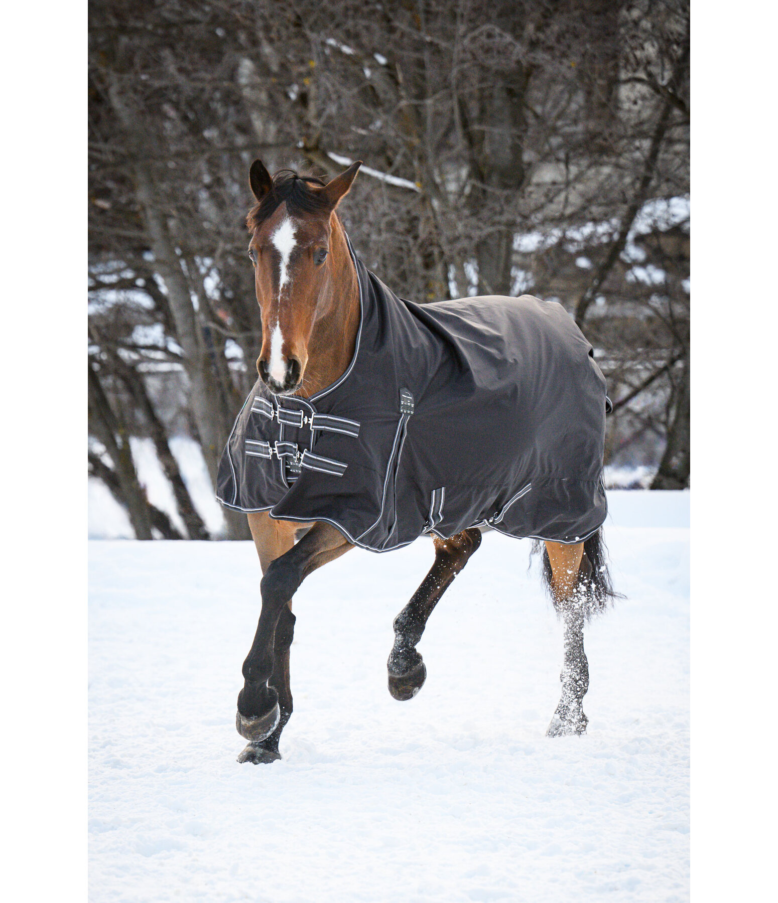 Highneck regendeken Kalina II, 300 g