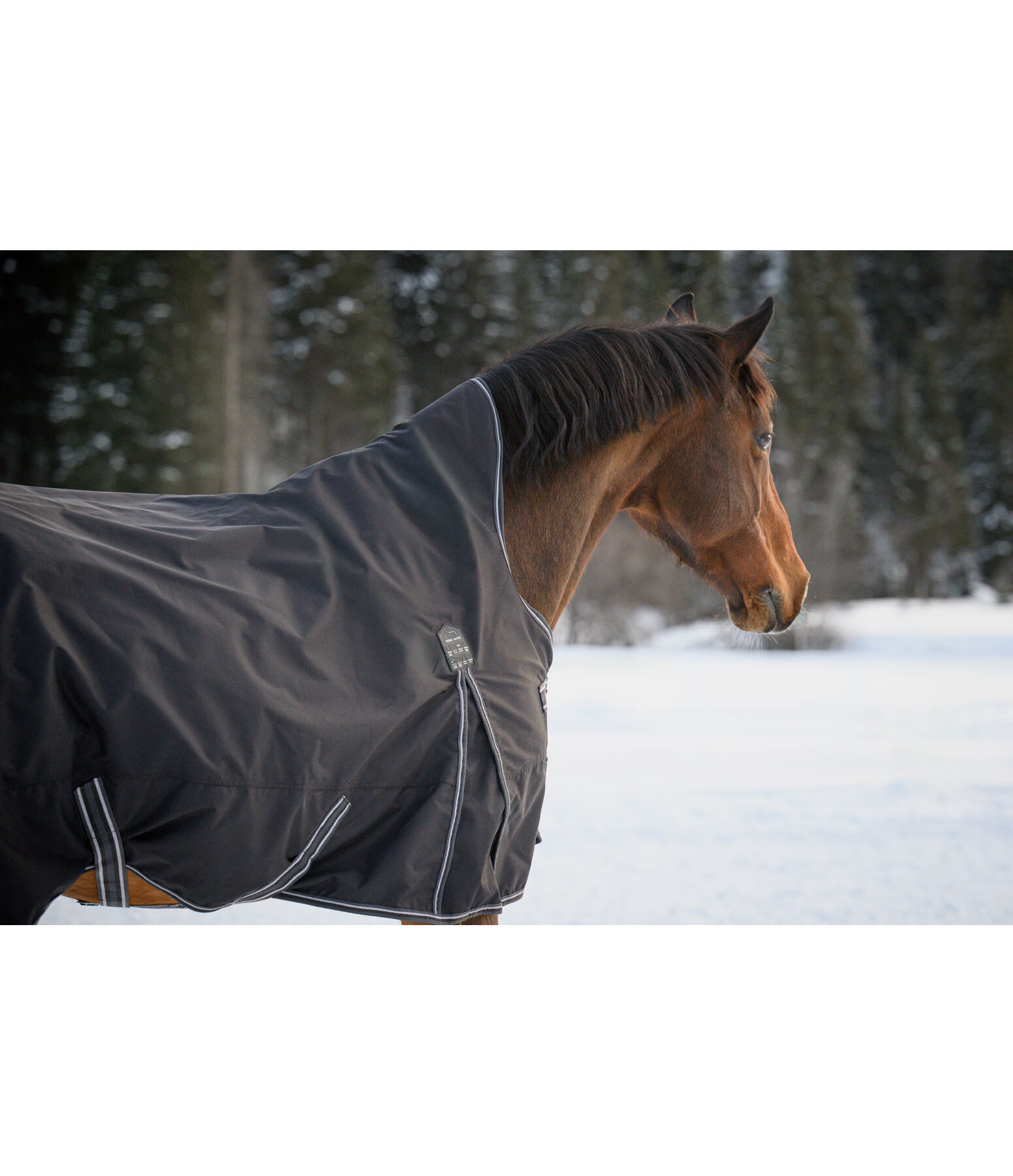 Highneck regendeken Kalina II, 300 g