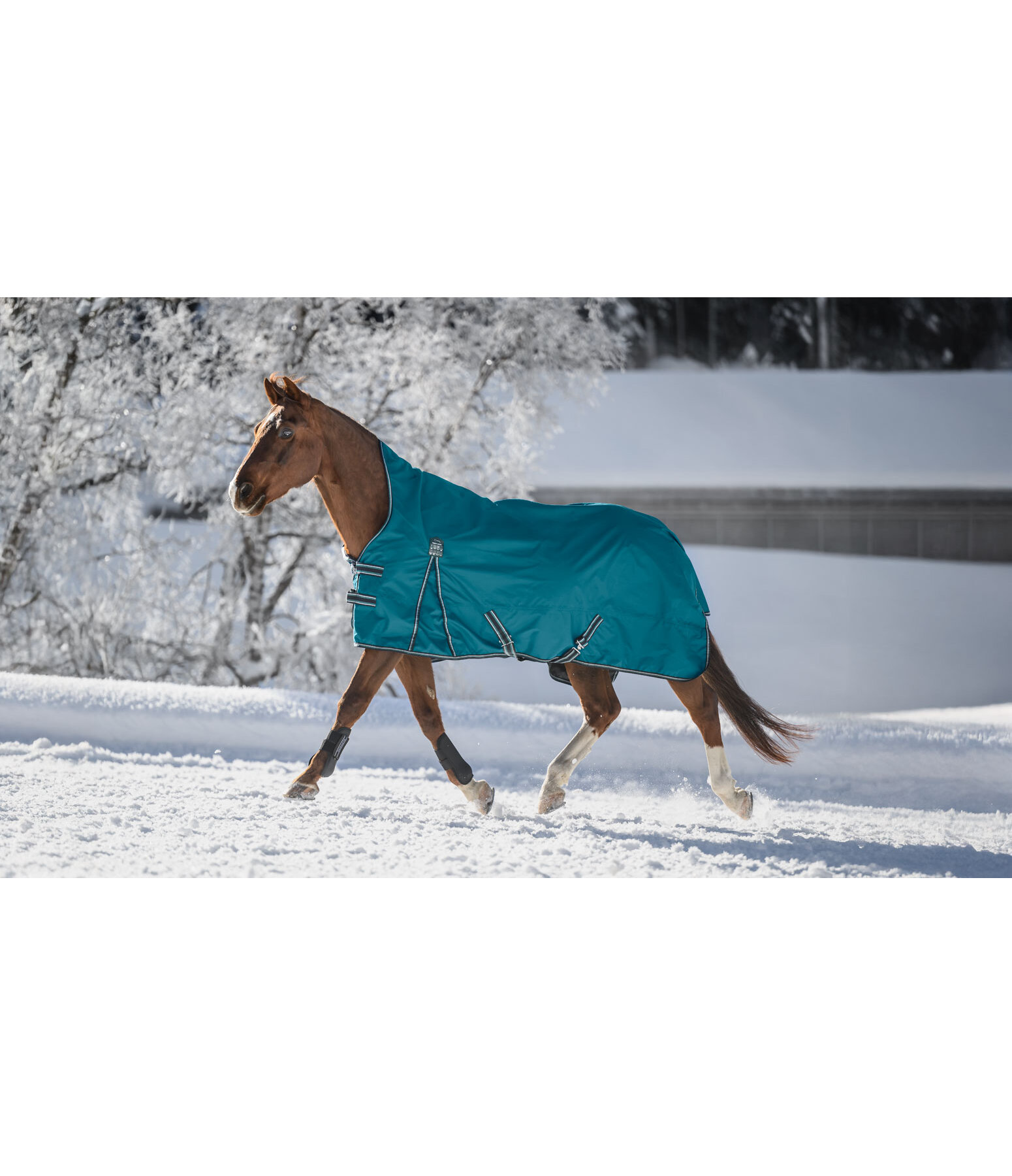 Highneck regendeken Kalina II, 300 g