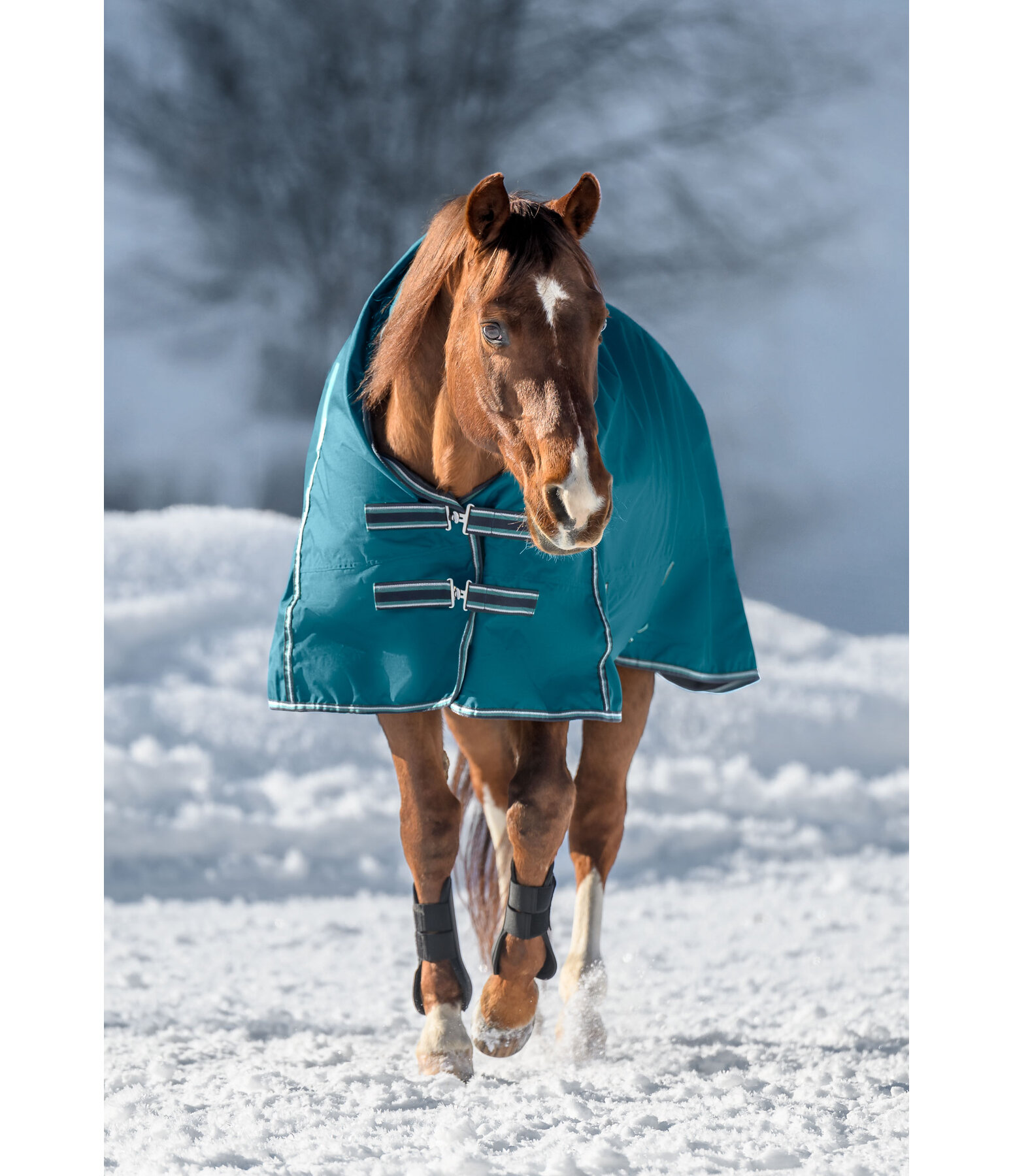 Highneck regendeken Kalina II, 300 g