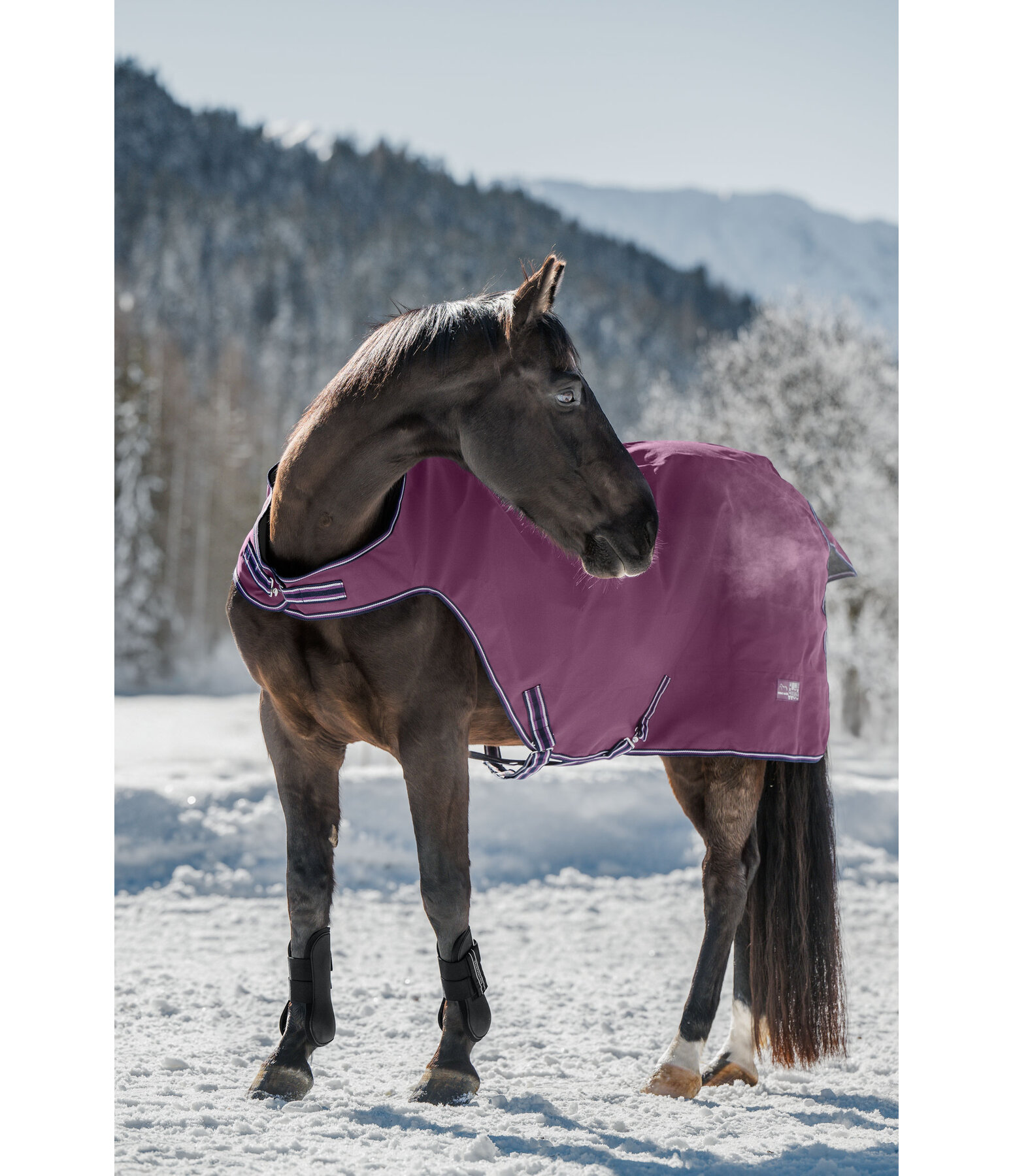 Outdoor Walker Kasimo II, 0 g