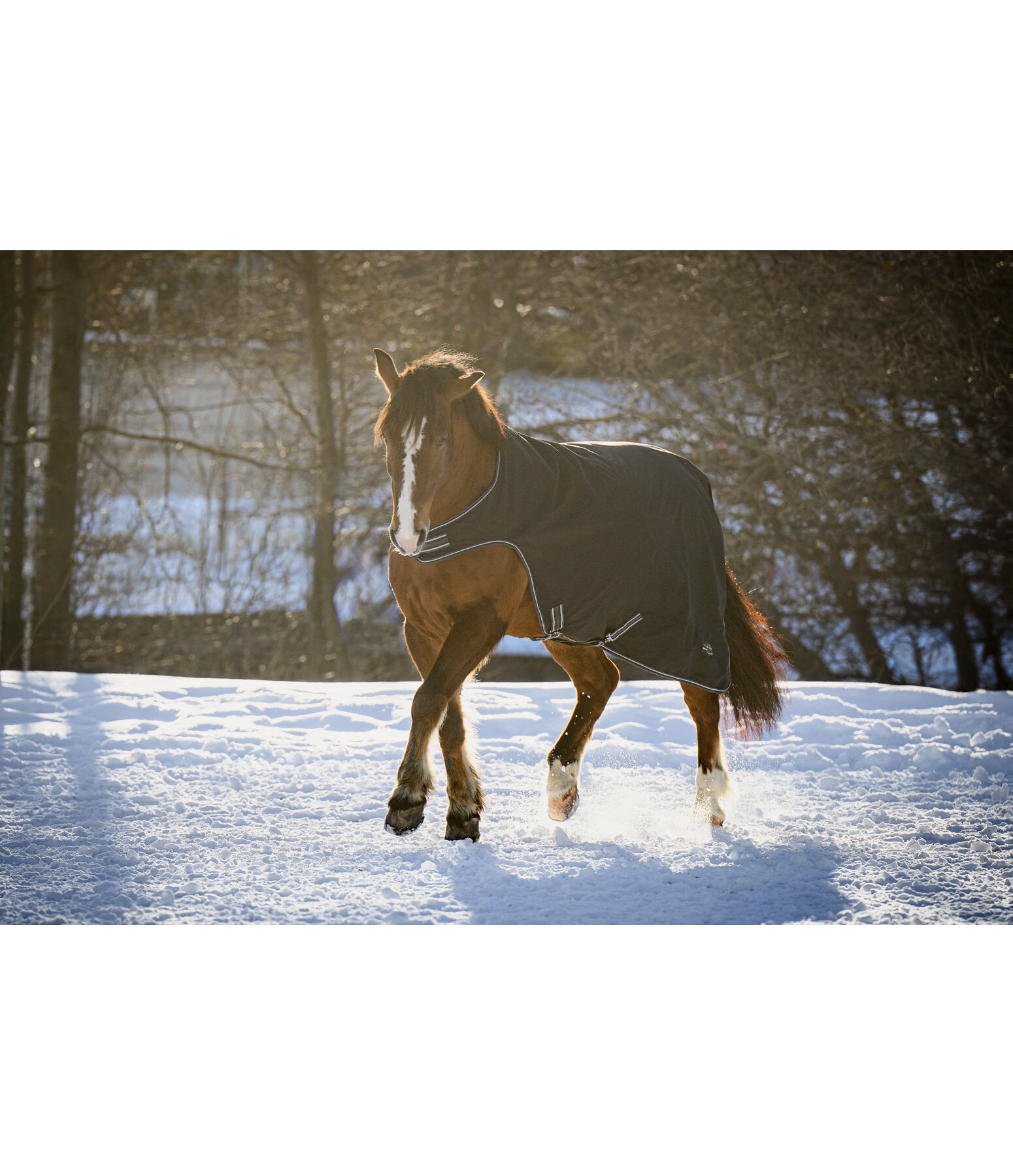 Outdoor Walker Kasimo II, 0 g