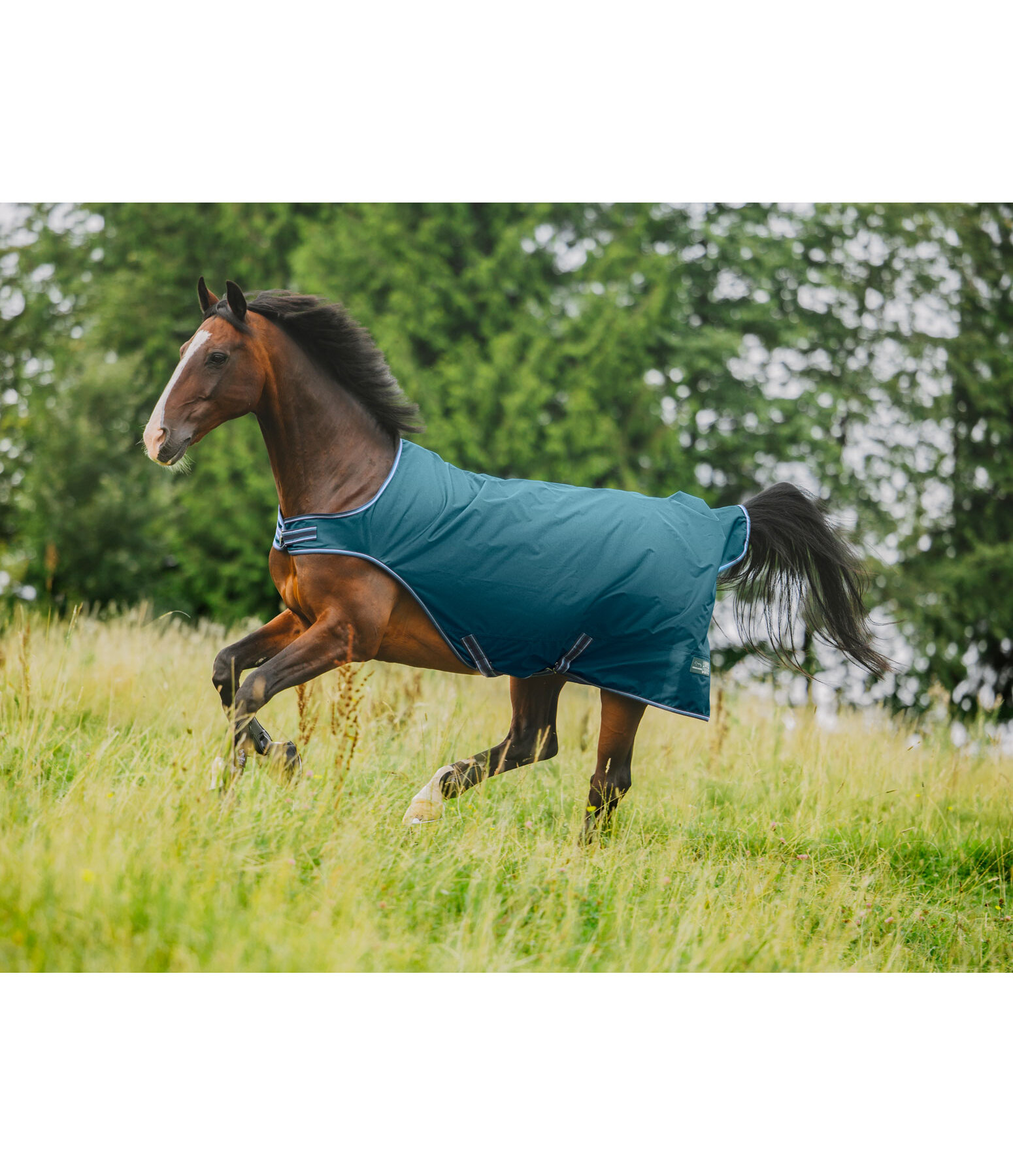Outdoor Walker Kasimo II, 0 g