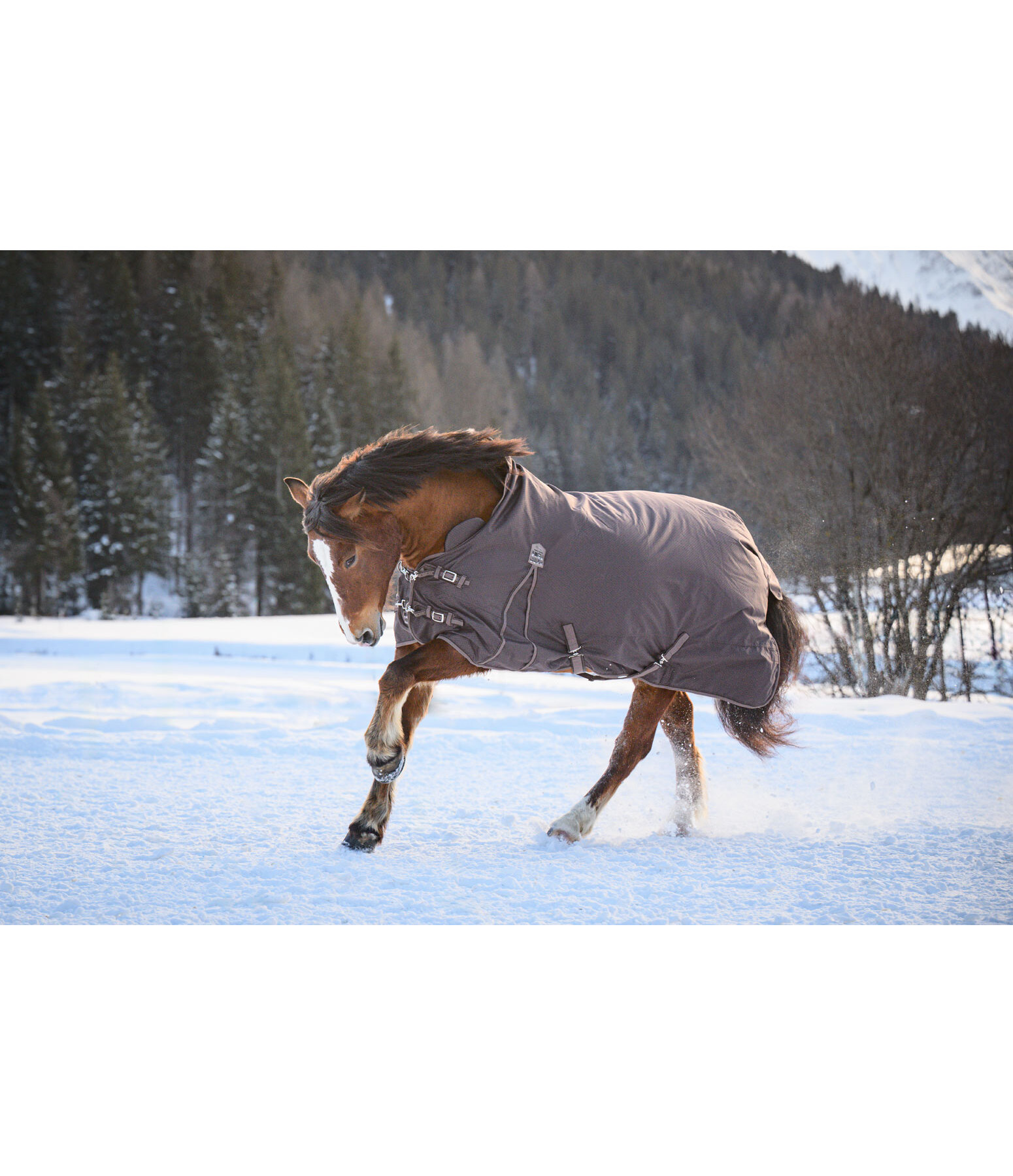 Highneck outdoordeken Jesco II met fleecevoering, 0 g