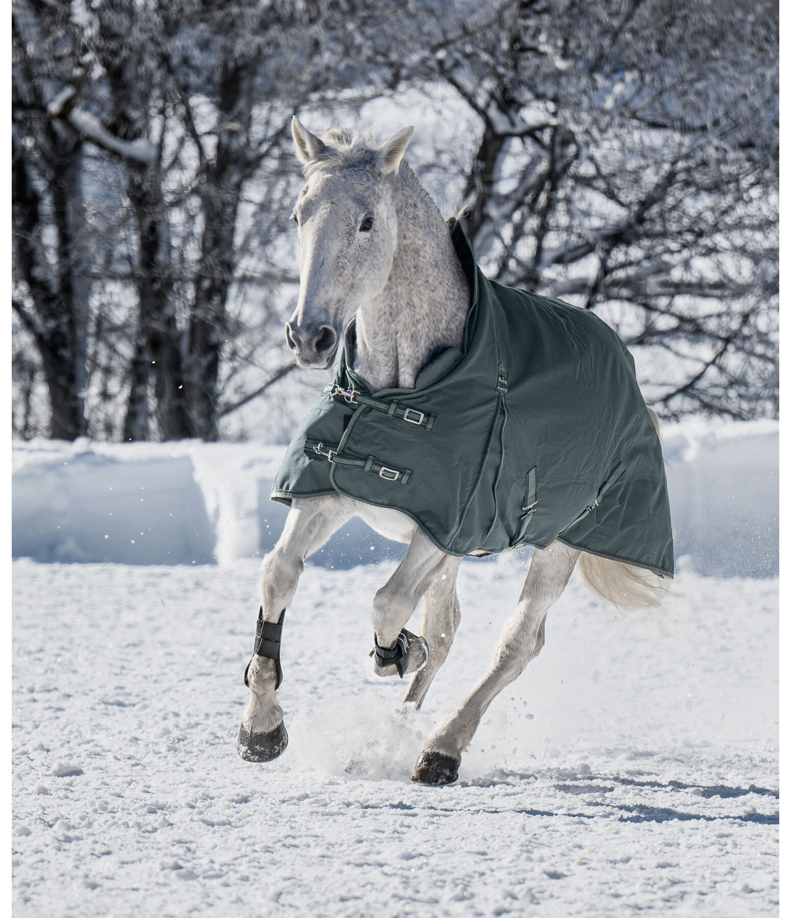 THERMO MASTER Highneck outdoordeken Jesco II met fleecevoering, 100g