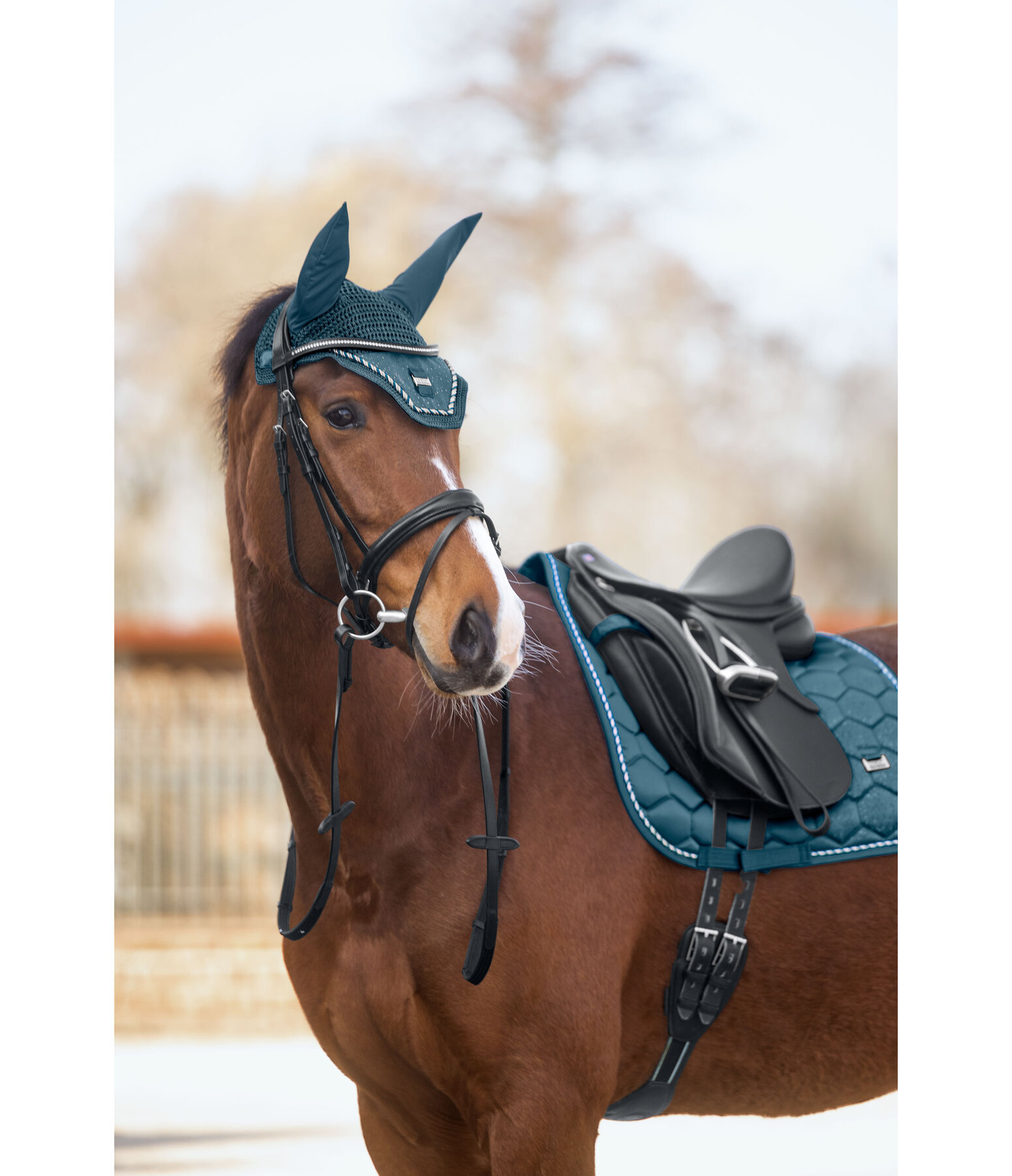 oornetje Sparkling II