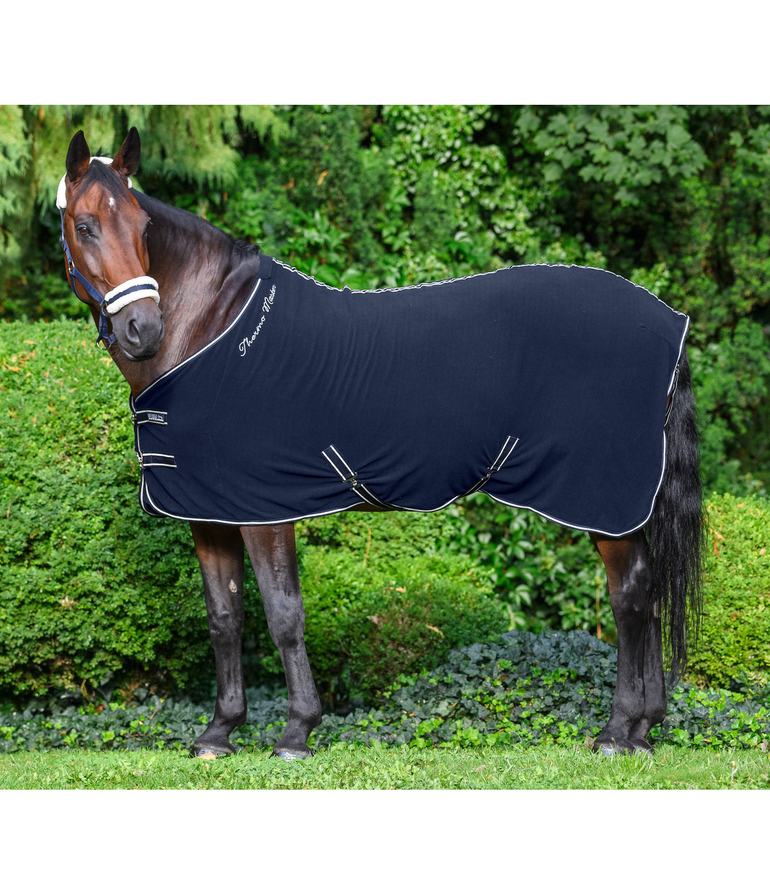 Overleving Beschikbaar Tips functionele zweetdeken Terry Towel II - Kramer Paardensport