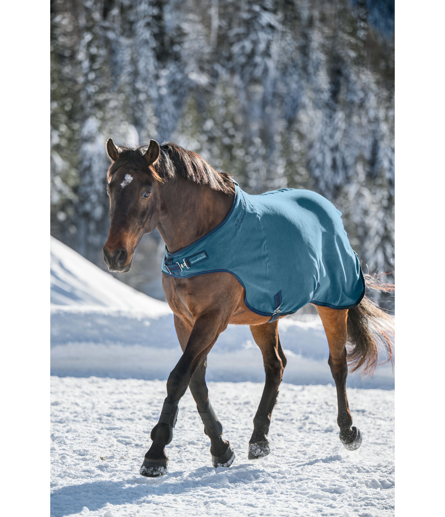 fleece Walker Activity